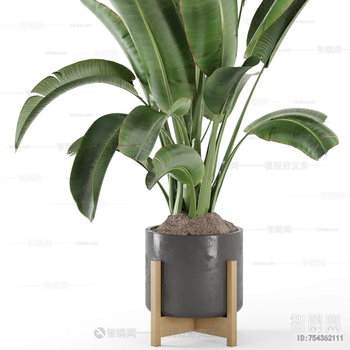 Modern Ground Green Plant Potted Plants