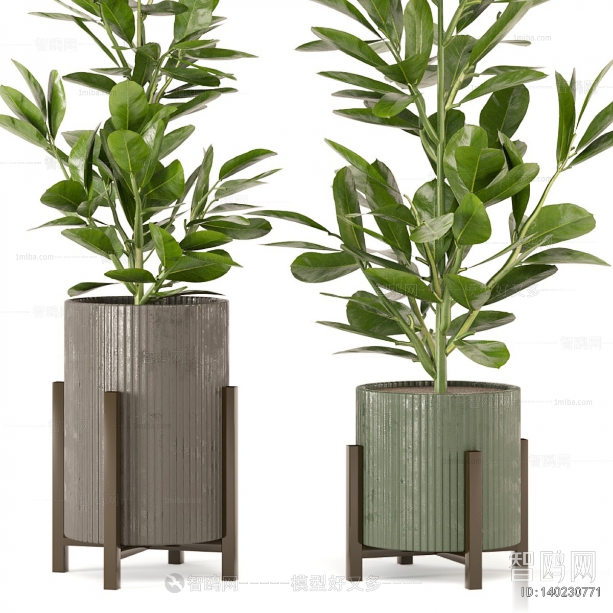 Modern Ground Green Plant Potted Plants