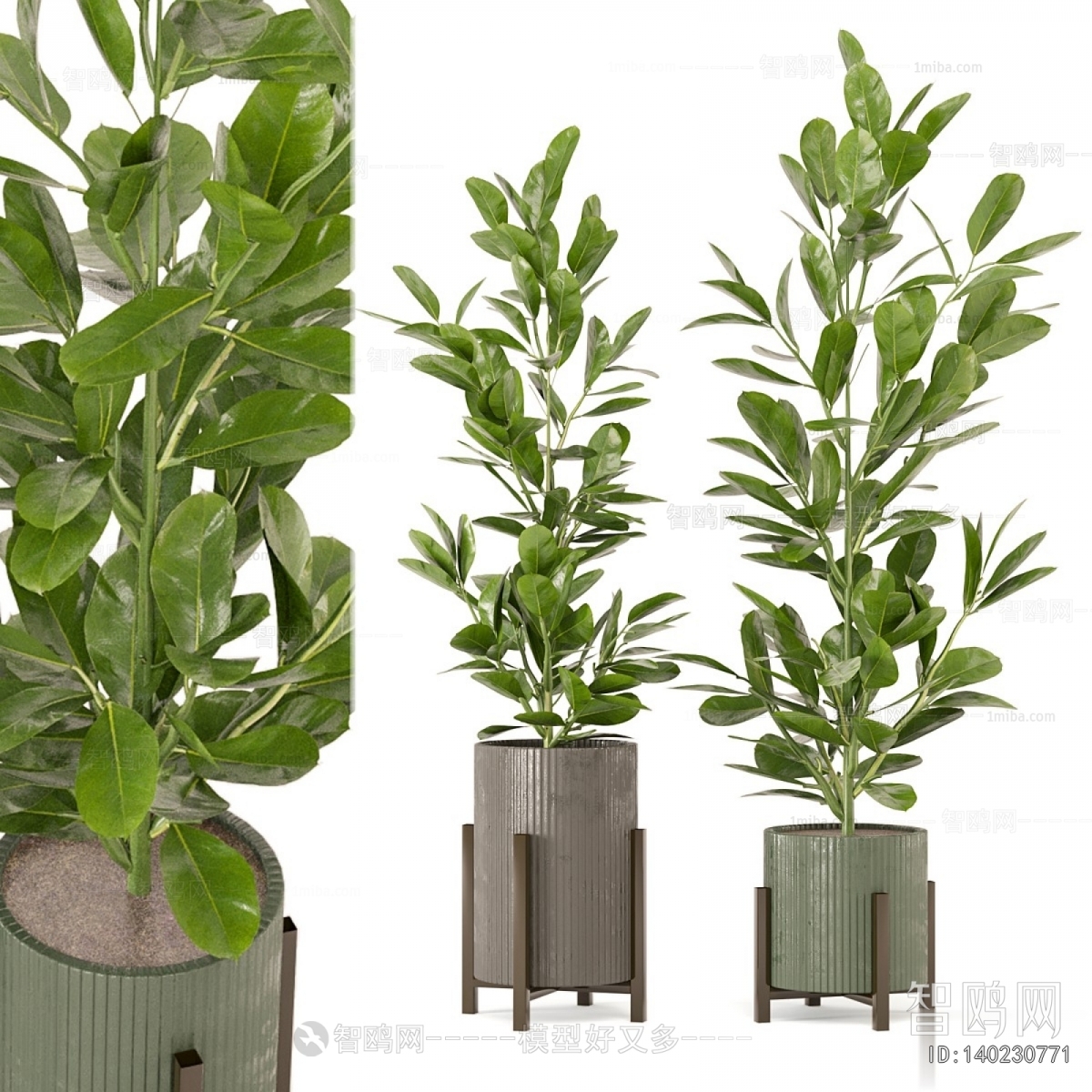 Modern Ground Green Plant Potted Plants