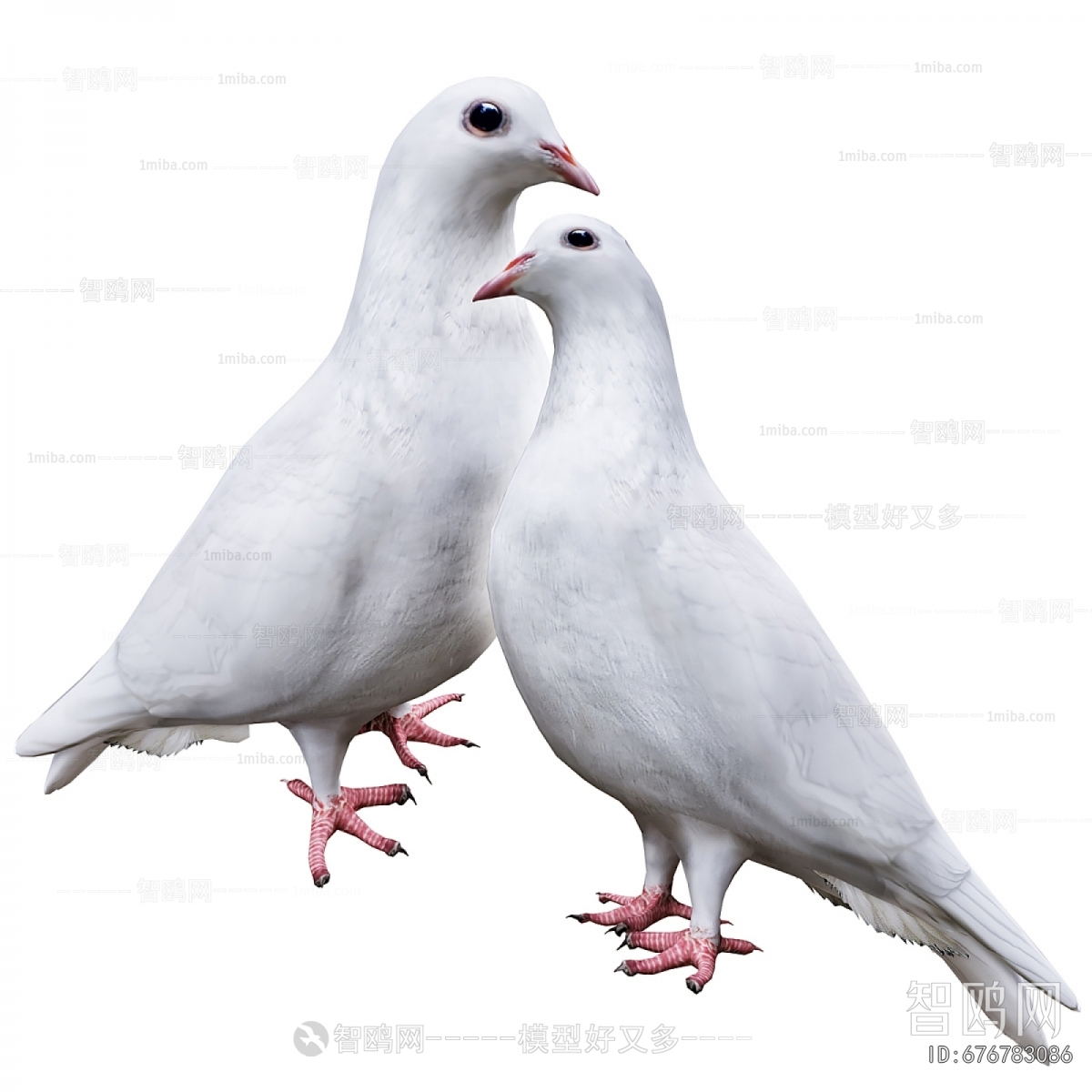 Modern Flying Animals