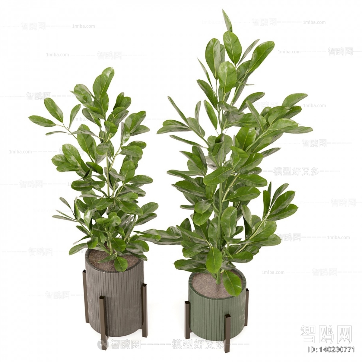 Modern Ground Green Plant Potted Plants