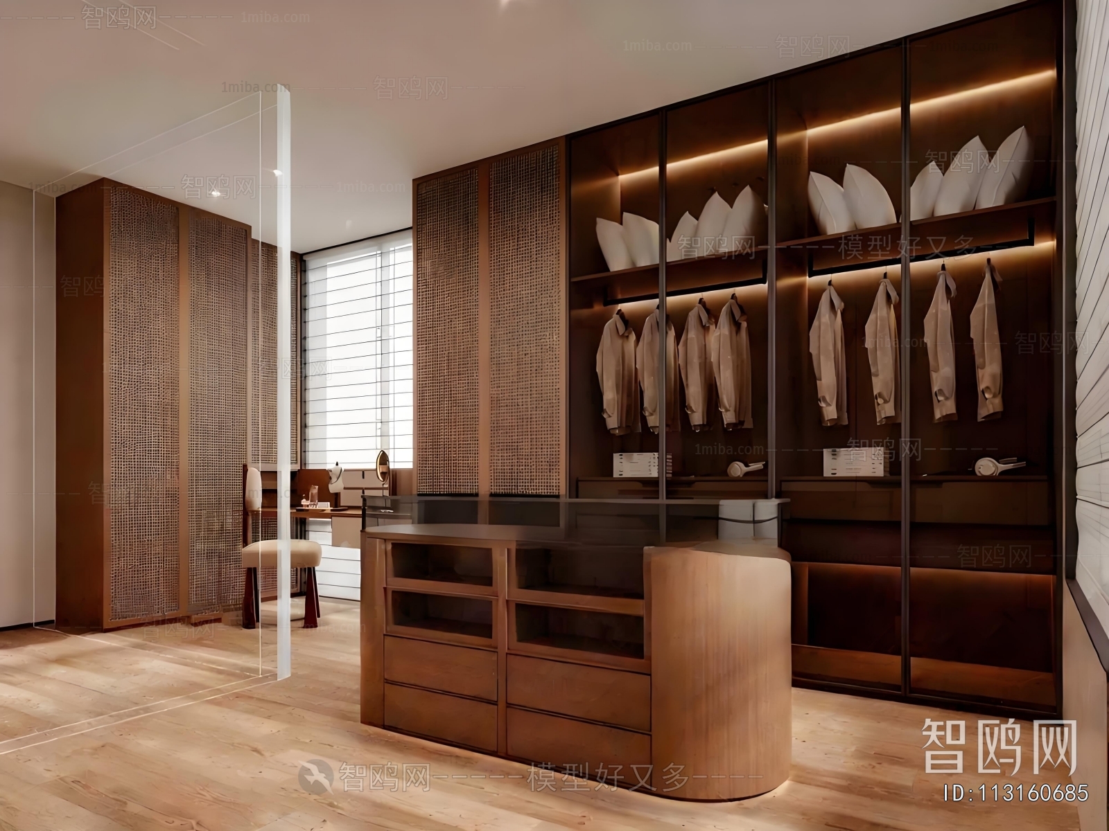 Modern Clothes Storage Area
