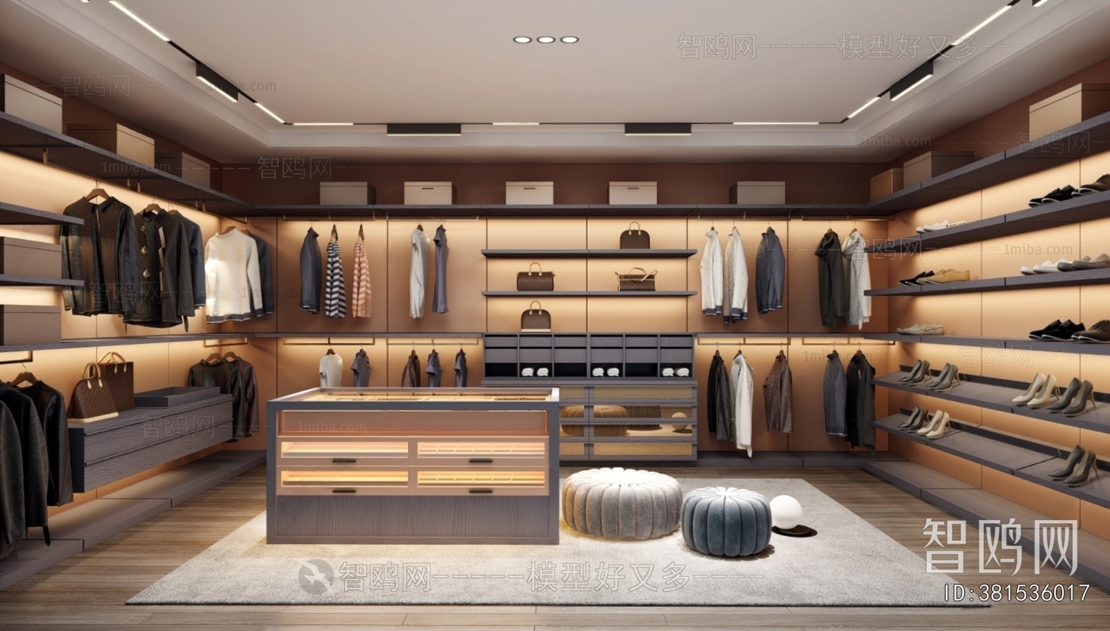 Modern Clothes Storage Area