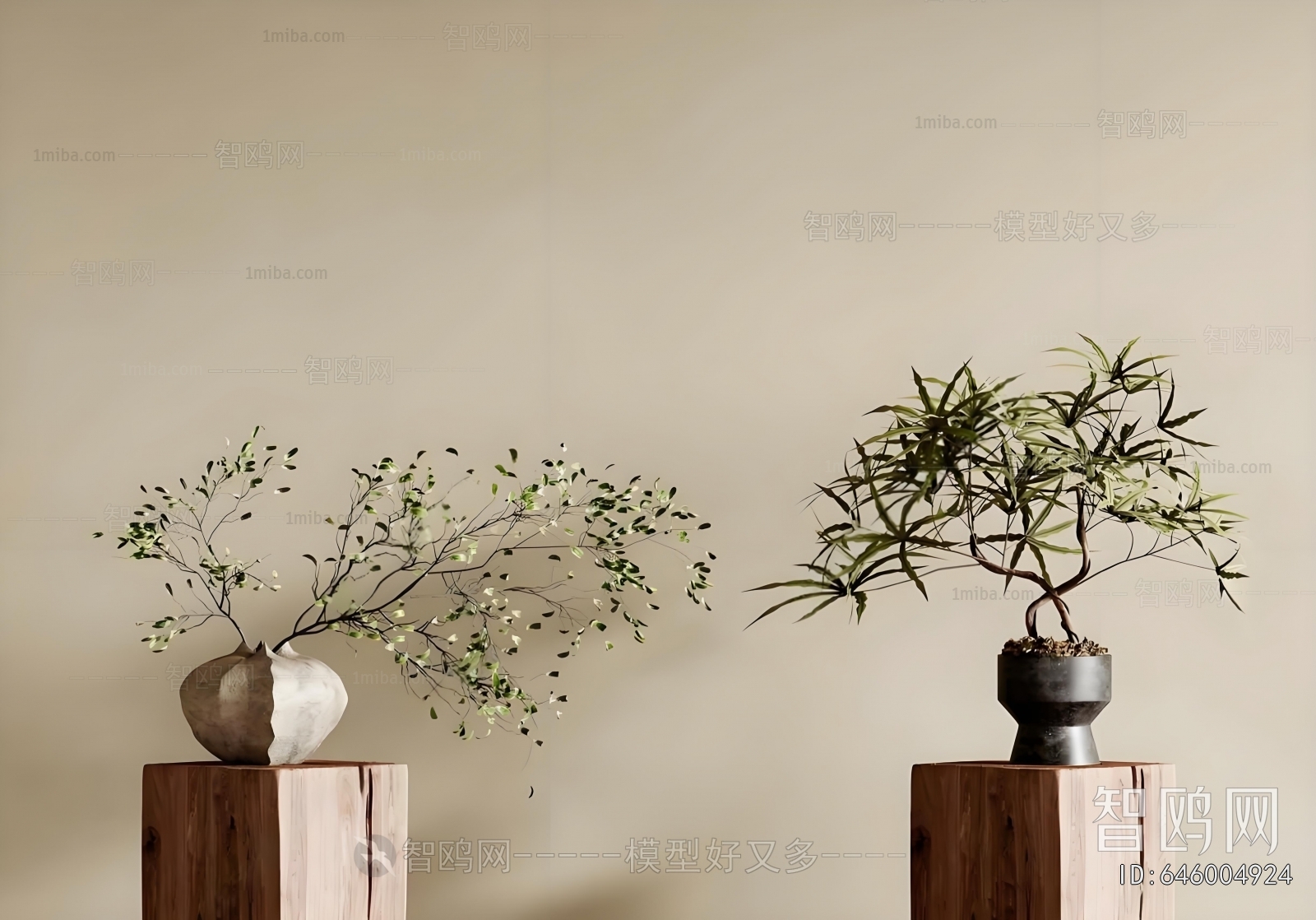 Wabi-sabi Style Potted Green Plant