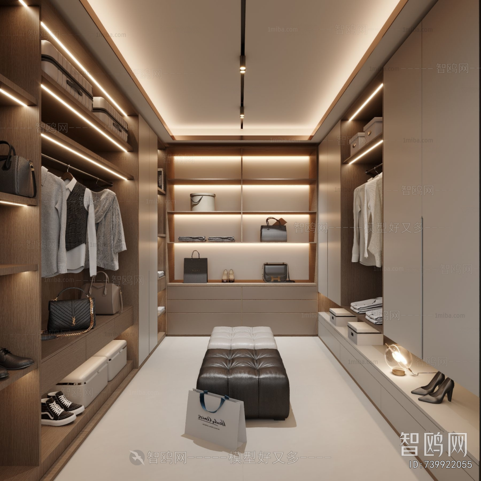 Modern Clothes Storage Area