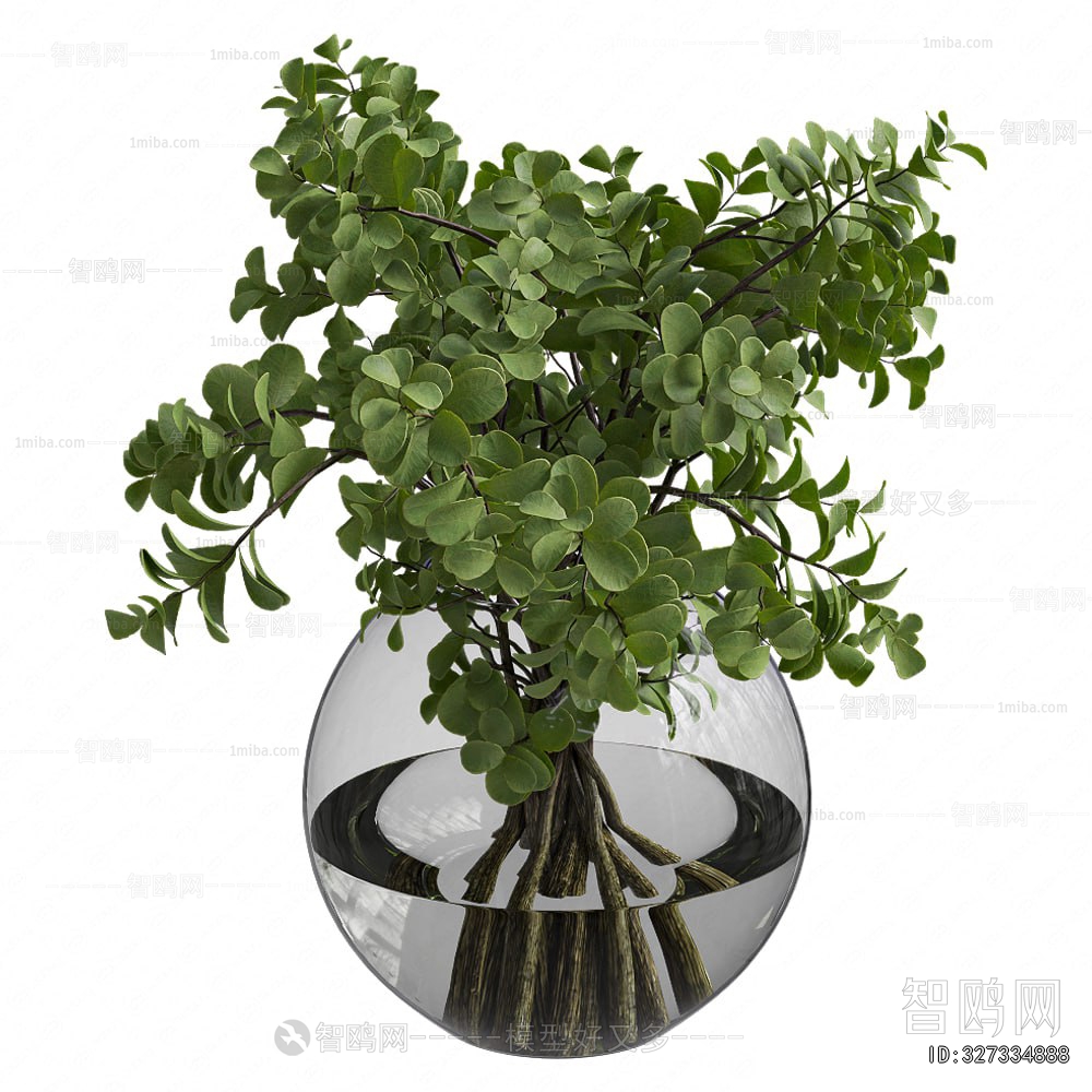 Modern Aquatic Green Plant