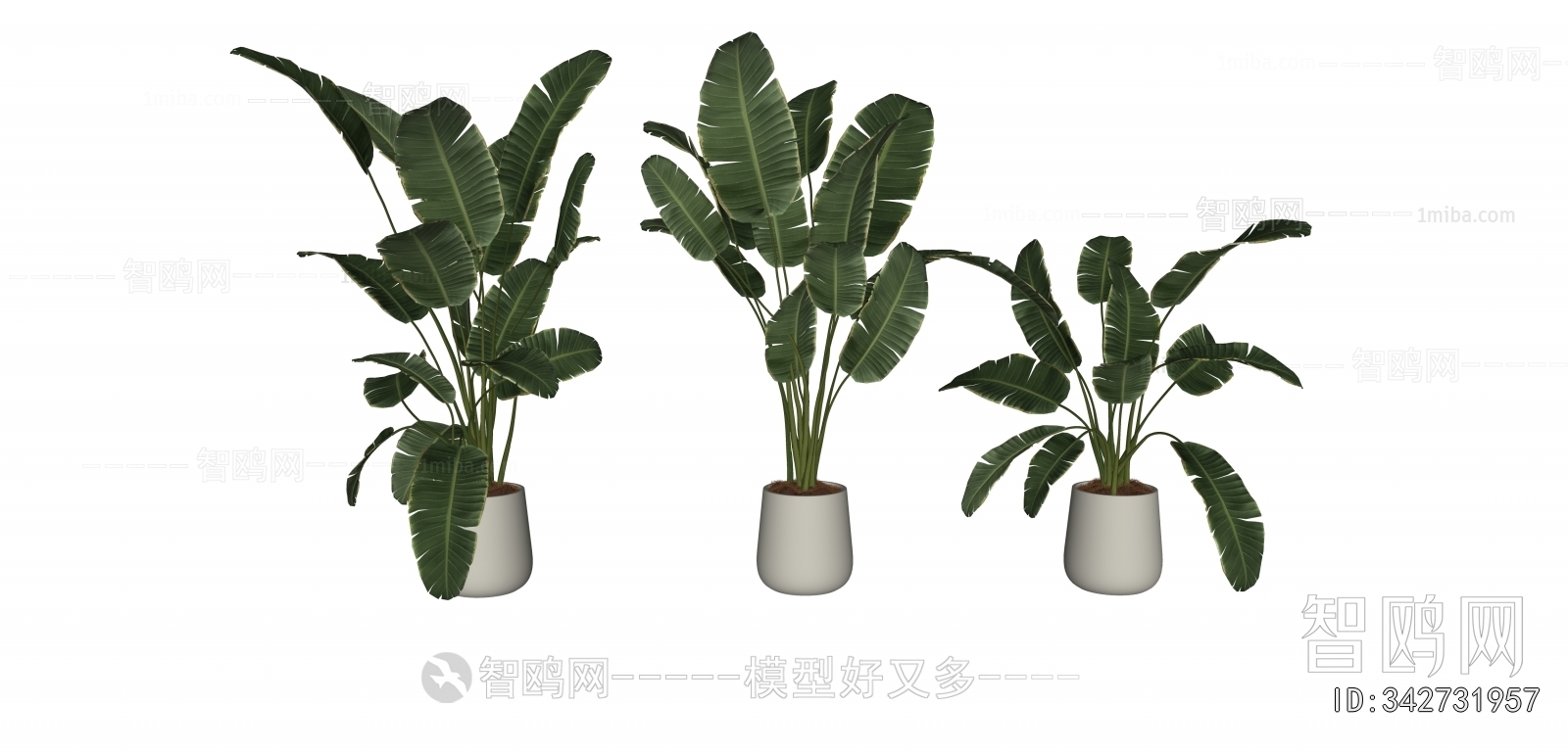 Modern Ground Green Plant Potted Plants