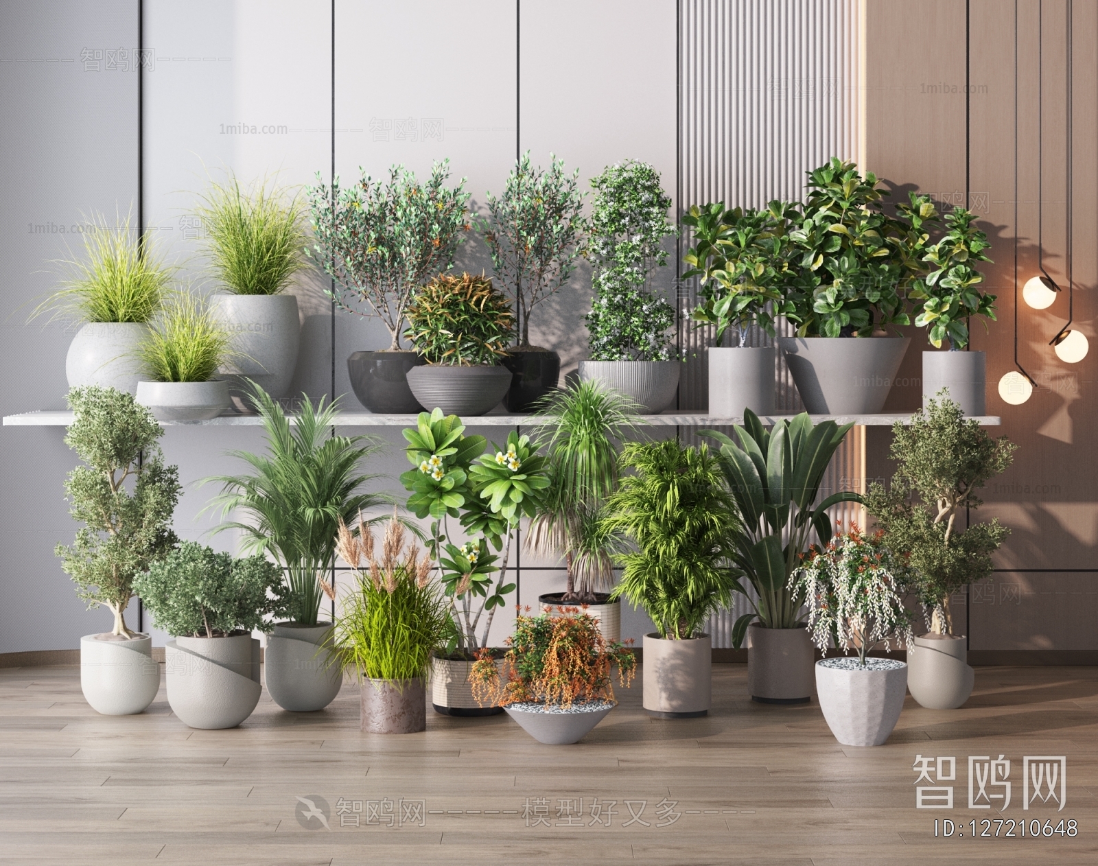 Modern Potted Green Plant