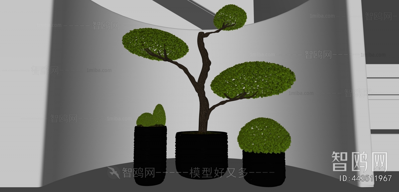 Modern Ground Green Plant Potted Plants