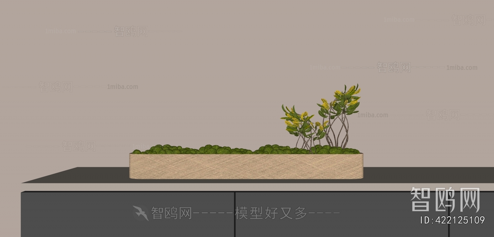 Modern Plant Landscaping