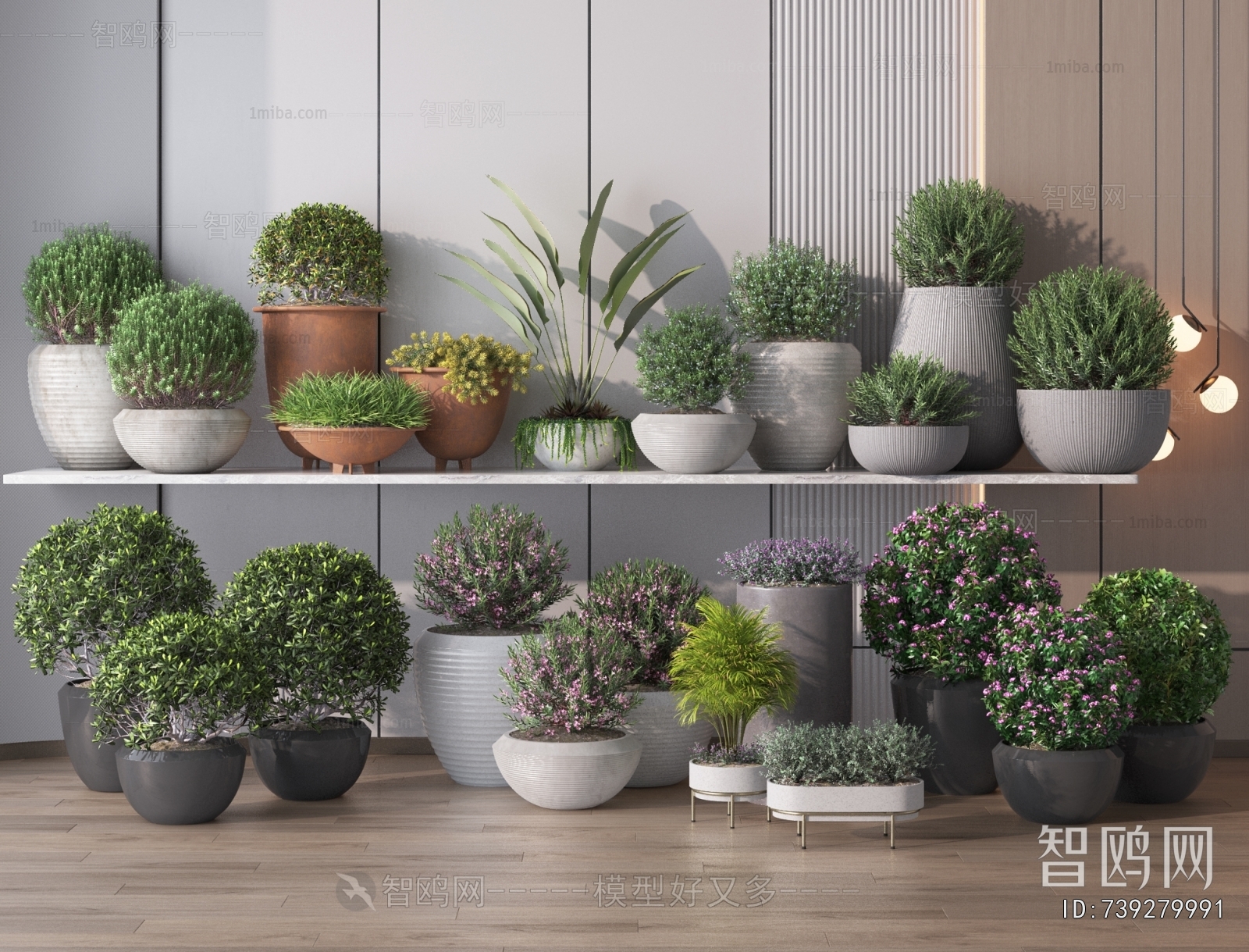 Modern Potted Green Plant