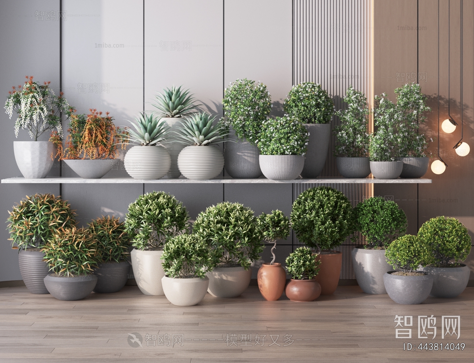 Modern Potted Green Plant