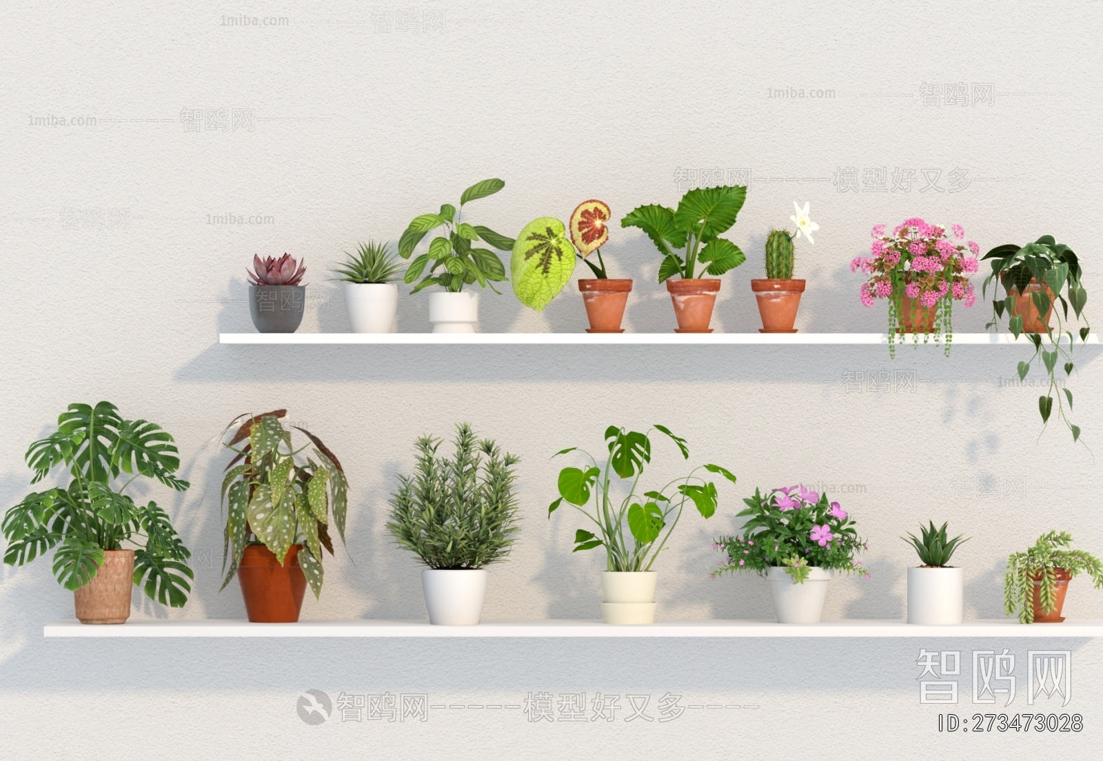 Modern Desktop Plant