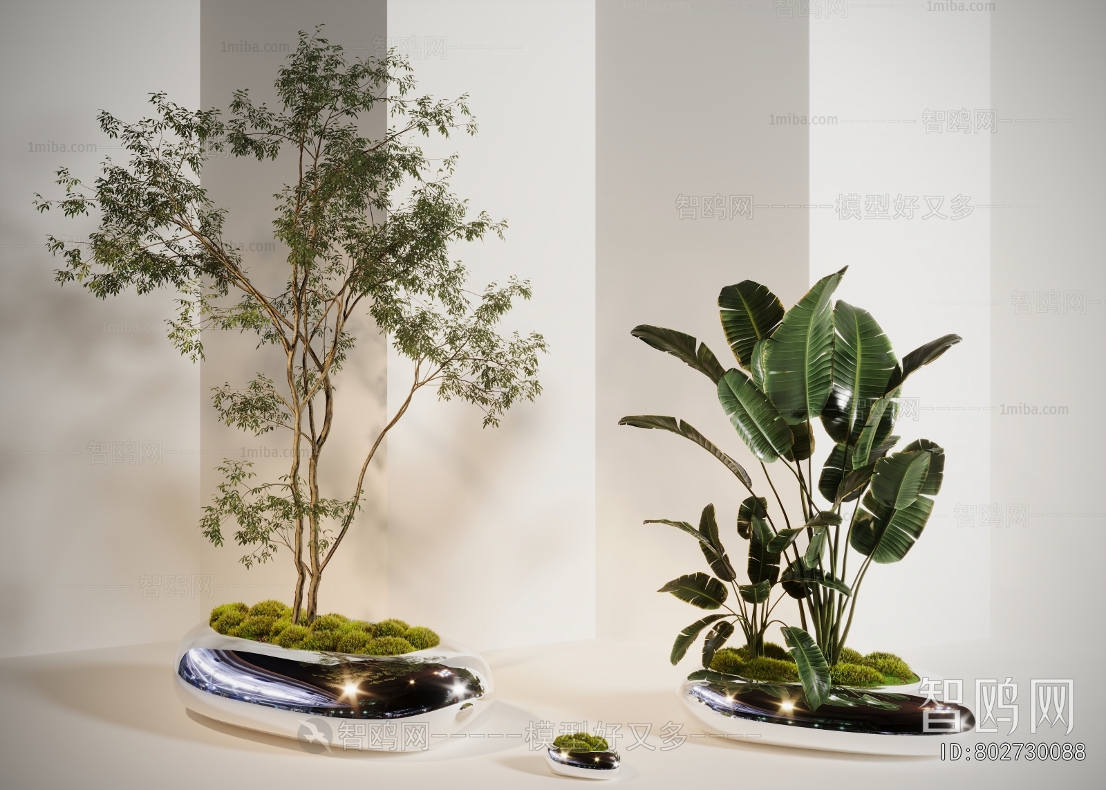 Modern Ground Green Plant Potted Plants