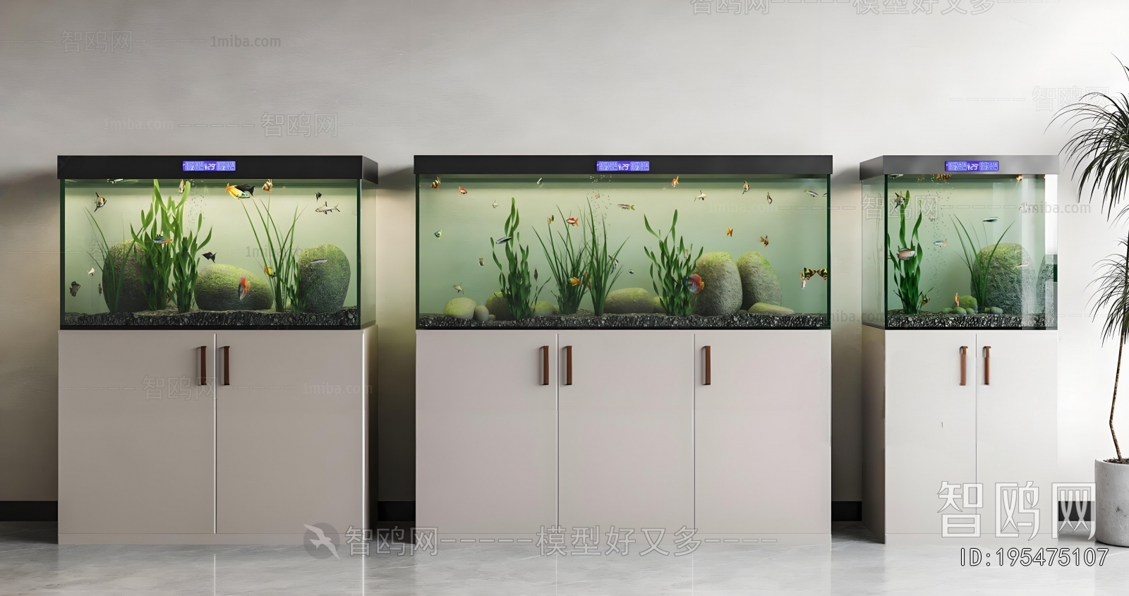 Modern Fish Tank