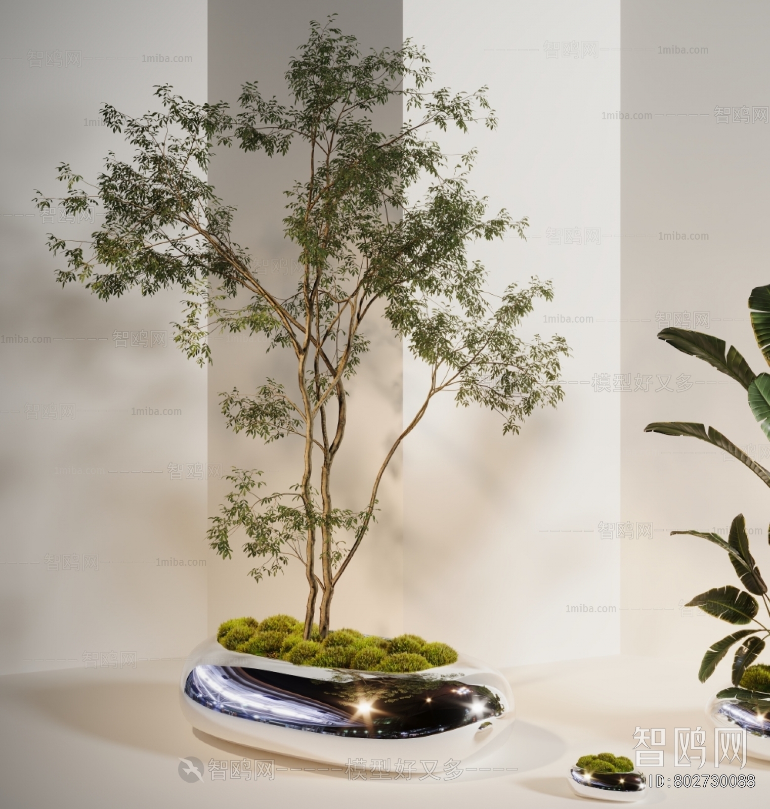 Modern Ground Green Plant Potted Plants