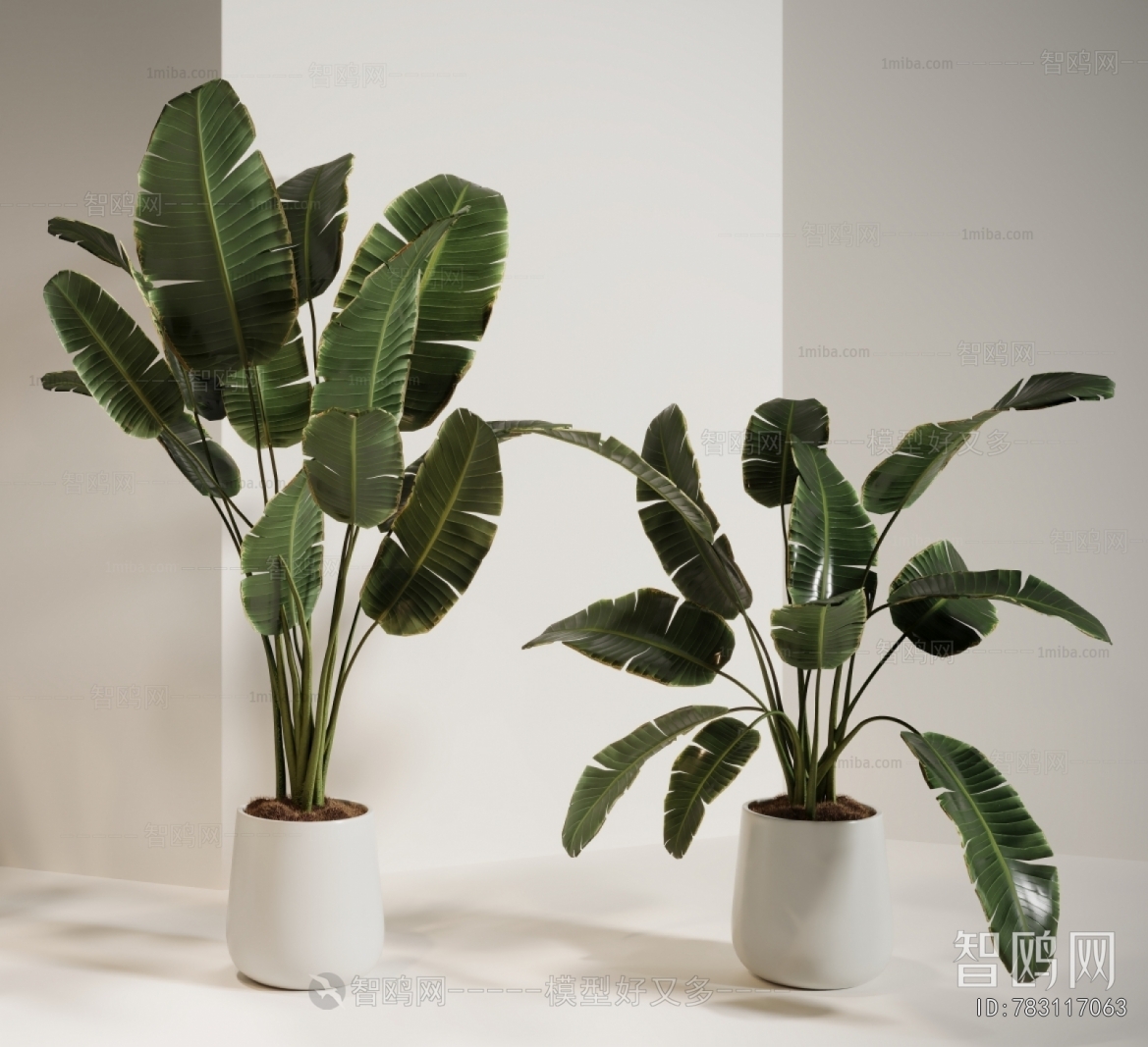 Modern Ground Green Plant Potted Plants