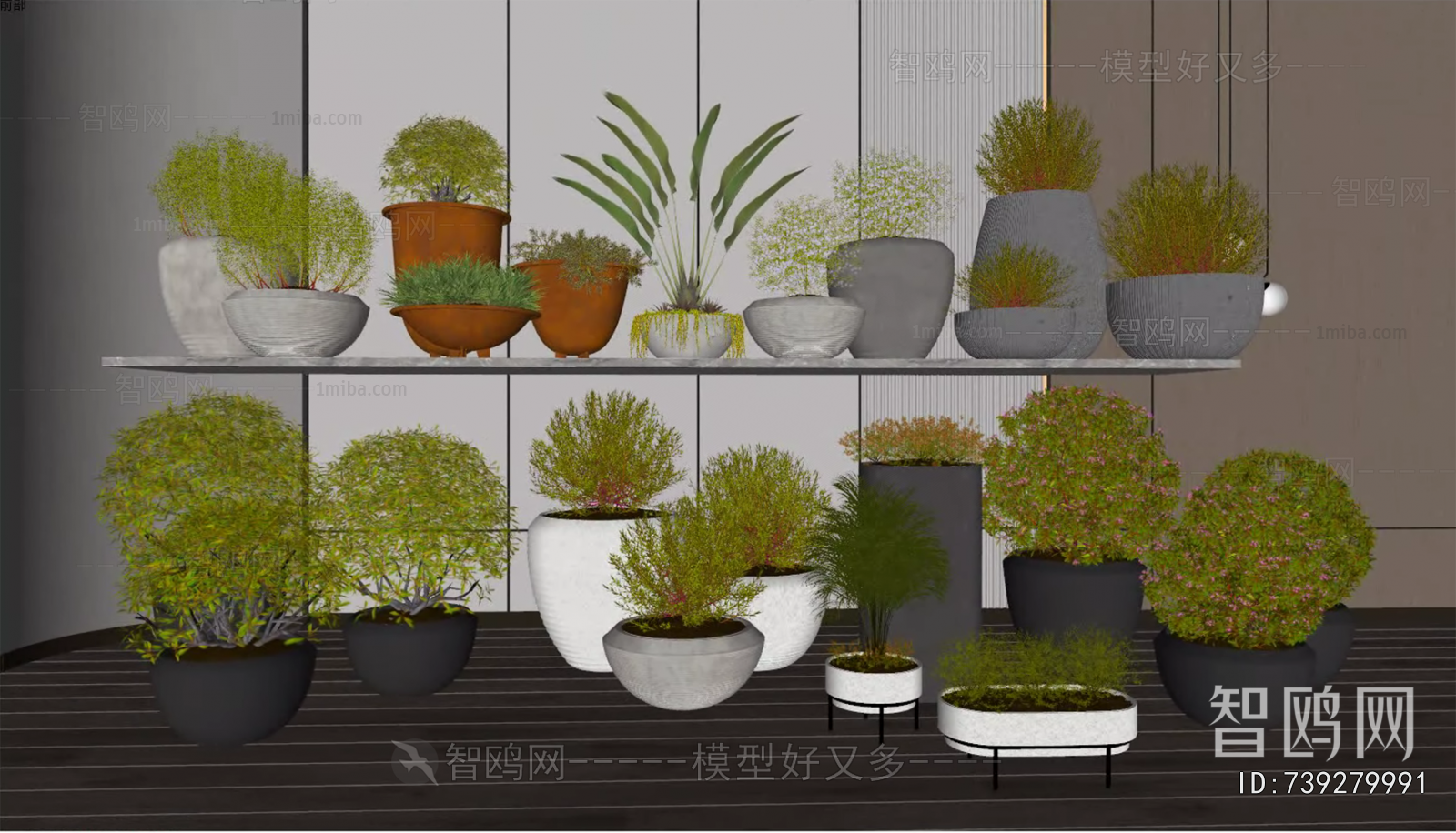 Modern Potted Green Plant