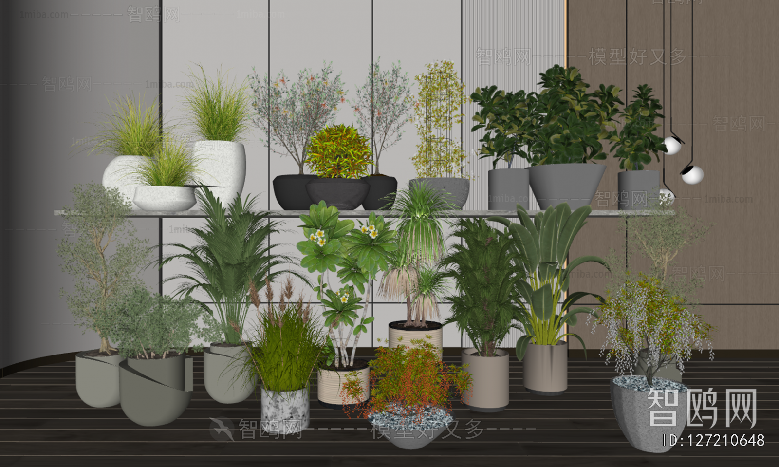 Modern Potted Green Plant