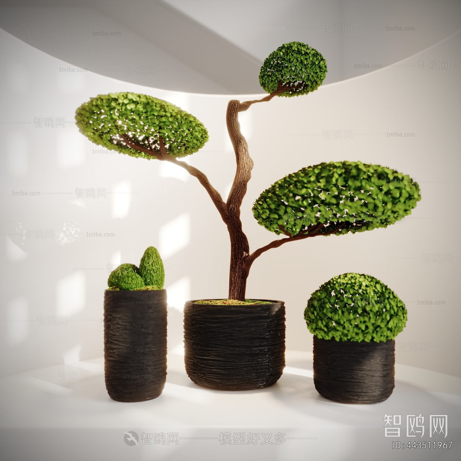 Modern Ground Green Plant Potted Plants