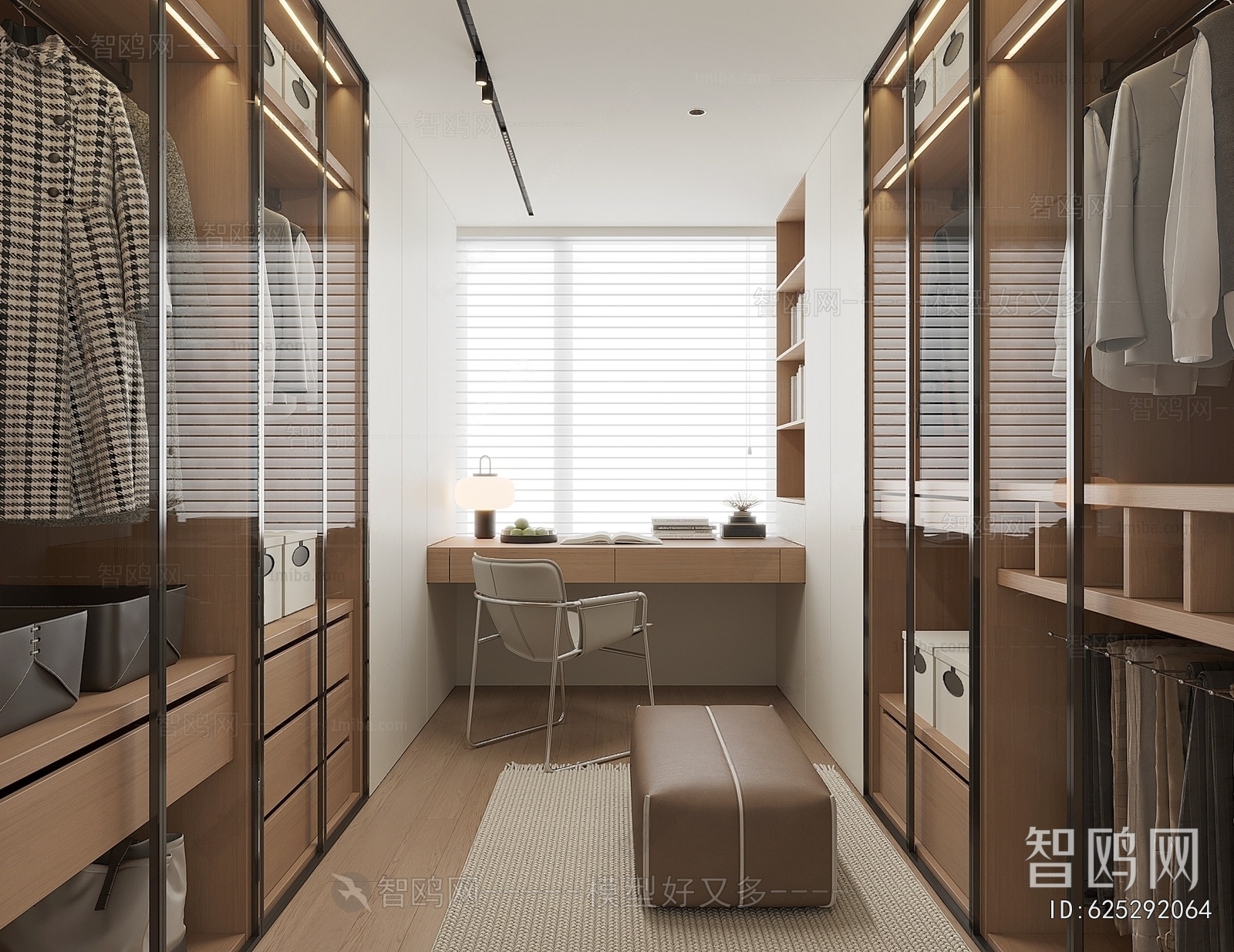 Modern Clothes Storage Area