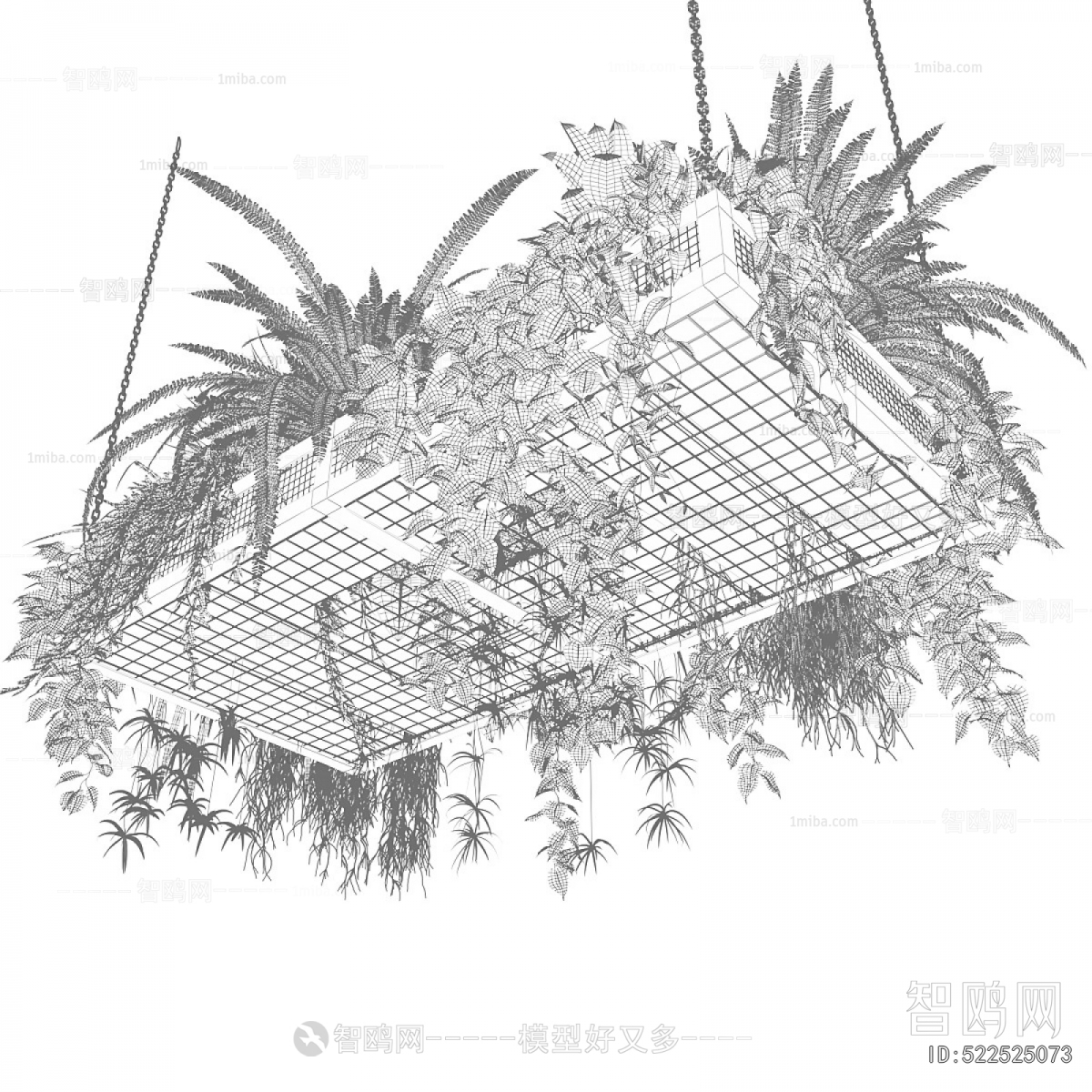 Modern Chlorophytum Comosum