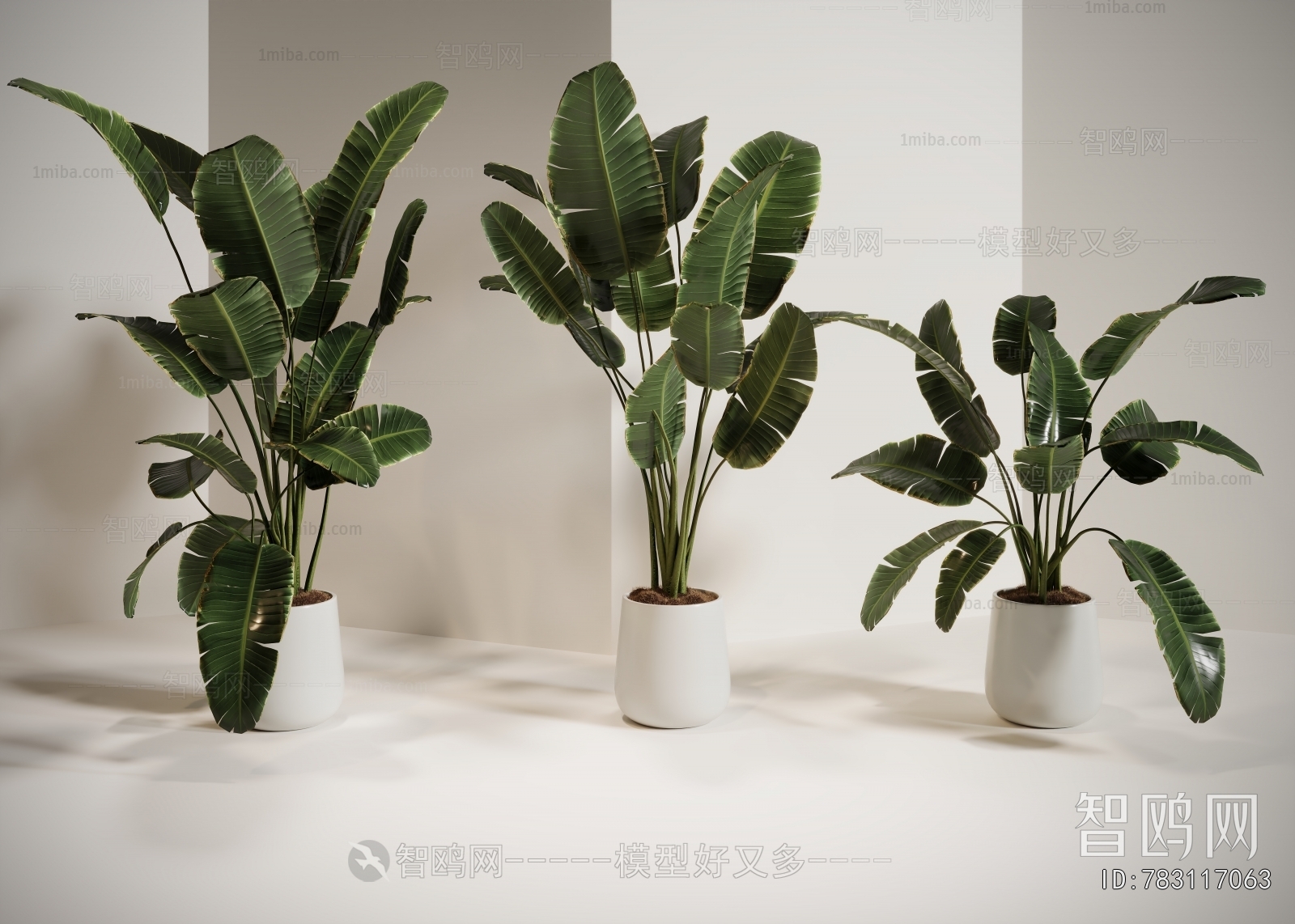 Modern Ground Green Plant Potted Plants