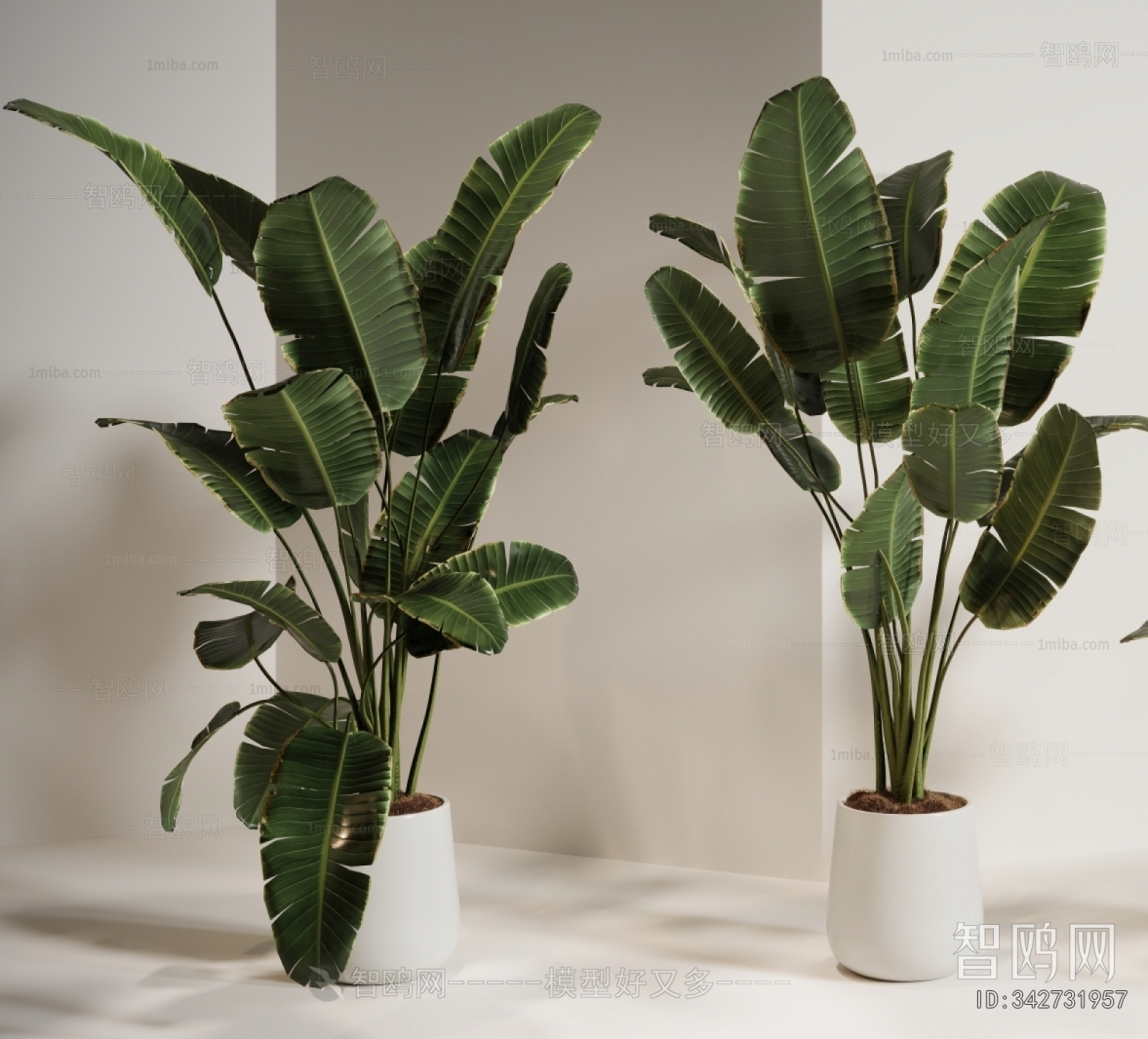 Modern Ground Green Plant Potted Plants