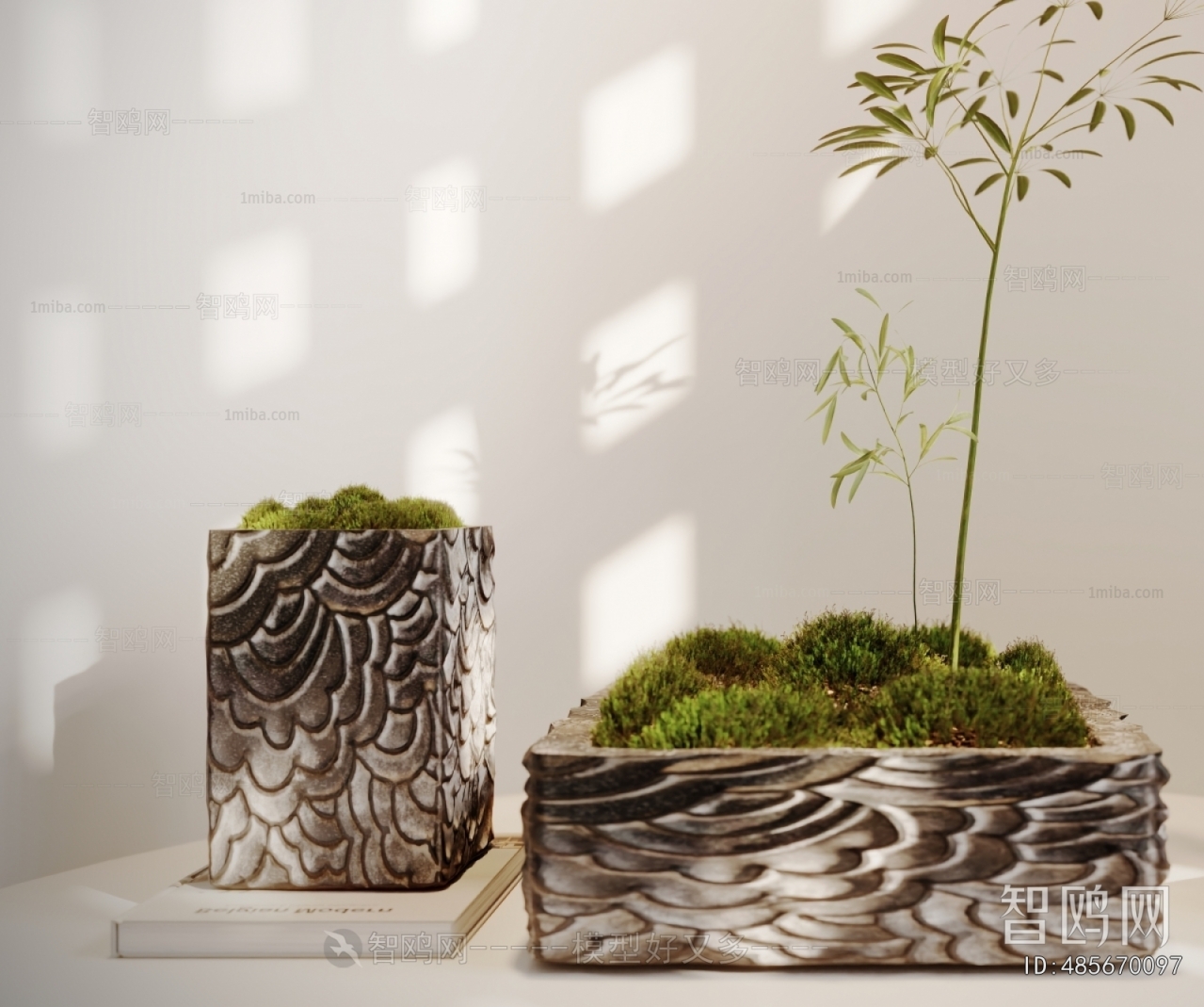 Modern Desktop Plant