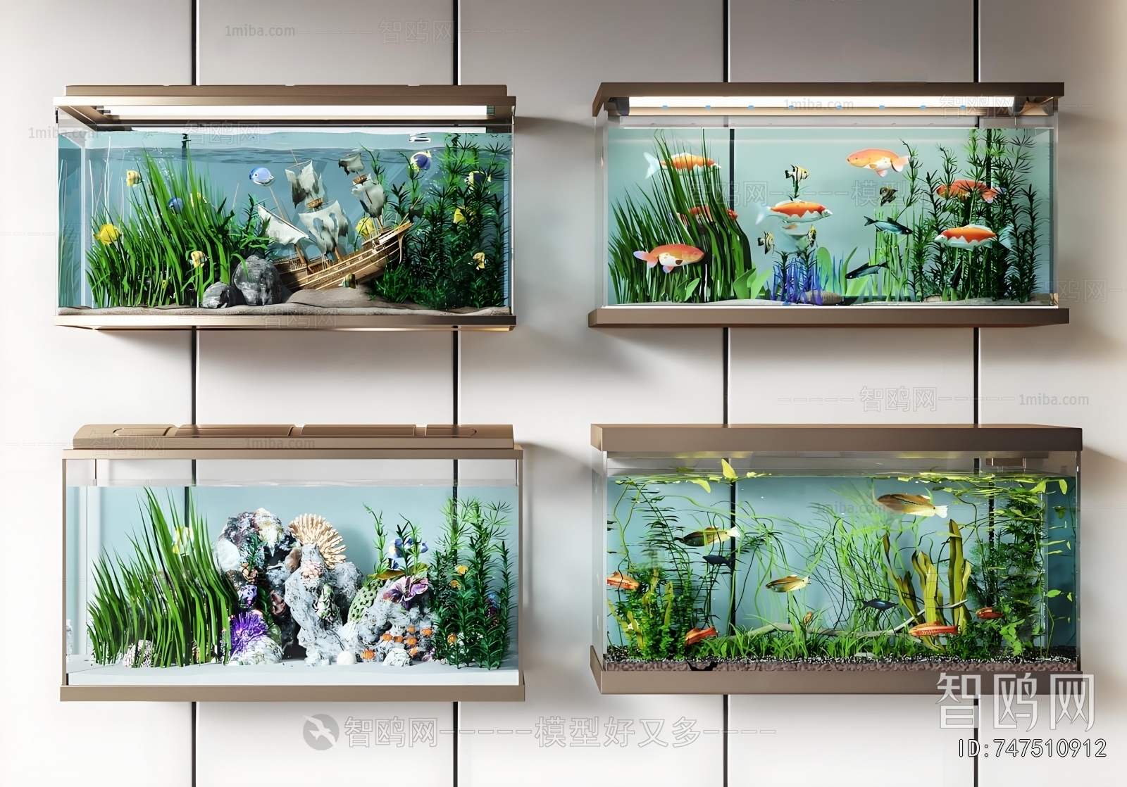 Modern Fish Tank