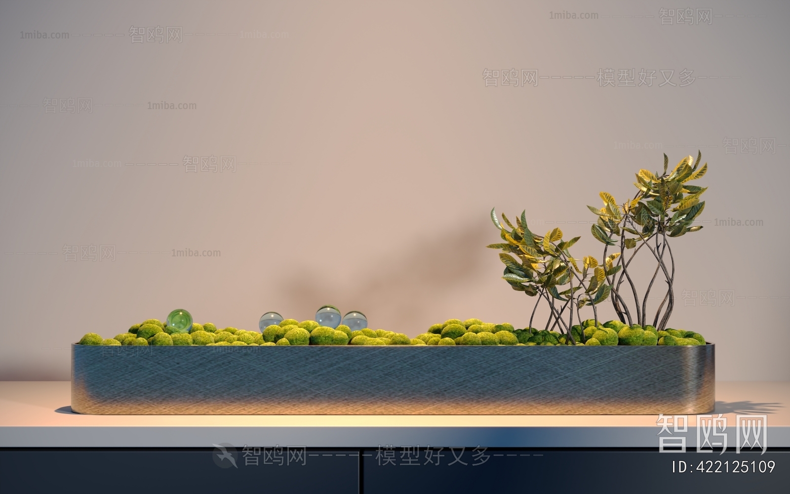 Modern Plant Landscaping