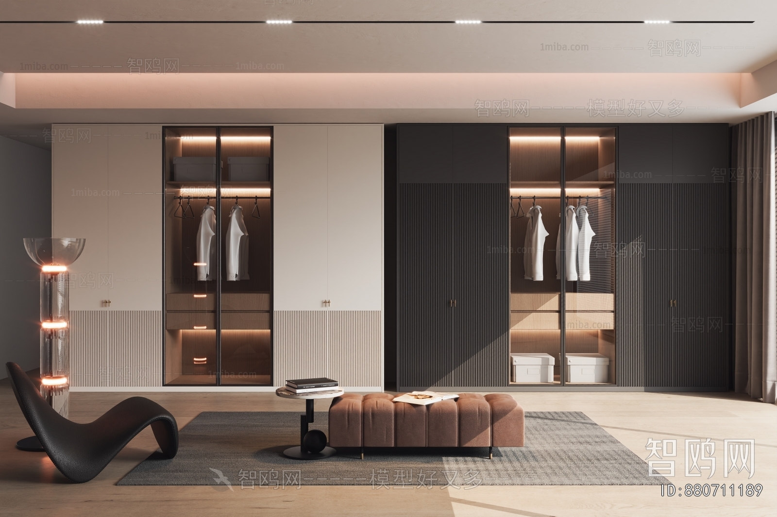 Modern Clothes Storage Area
