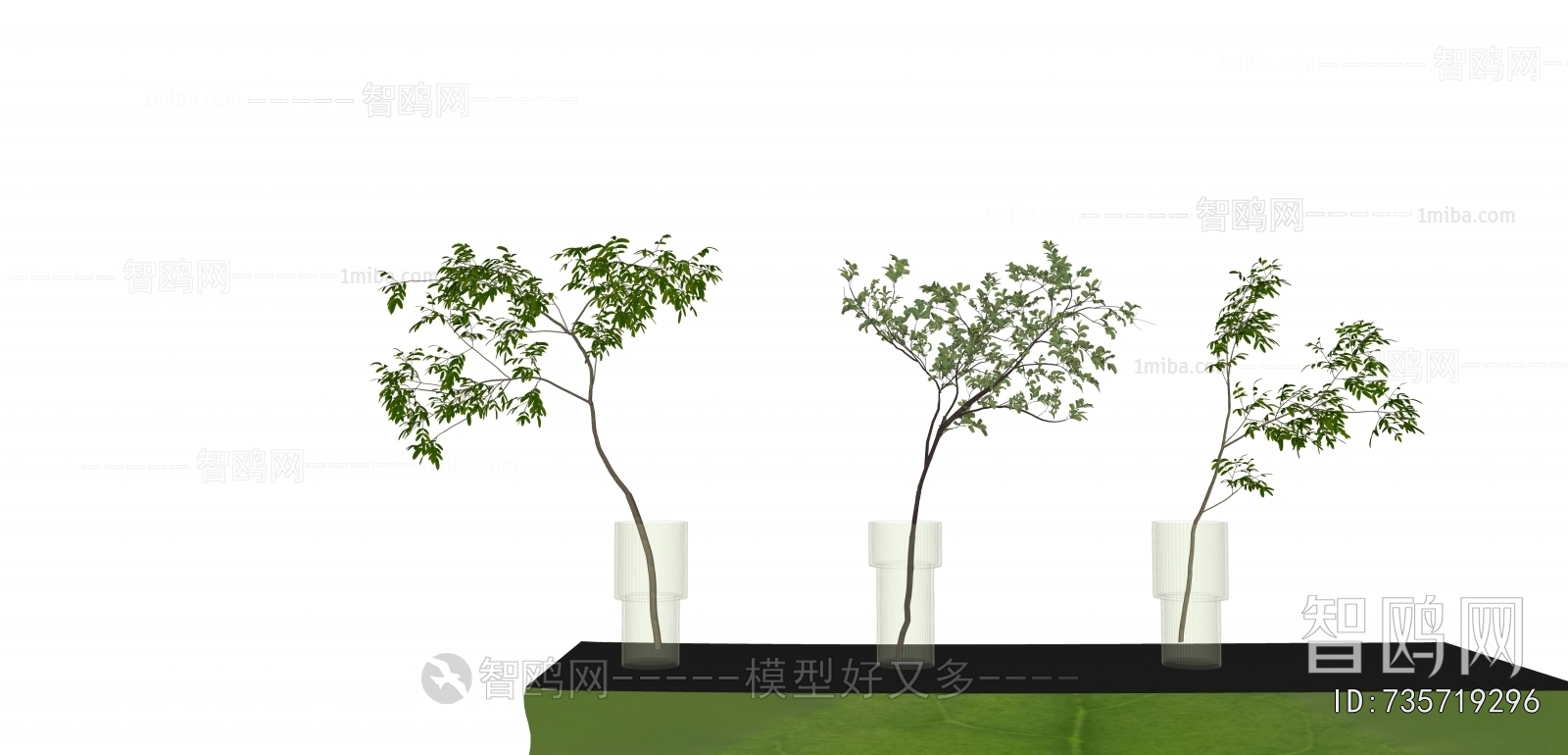 Modern Aquatic Green Plant