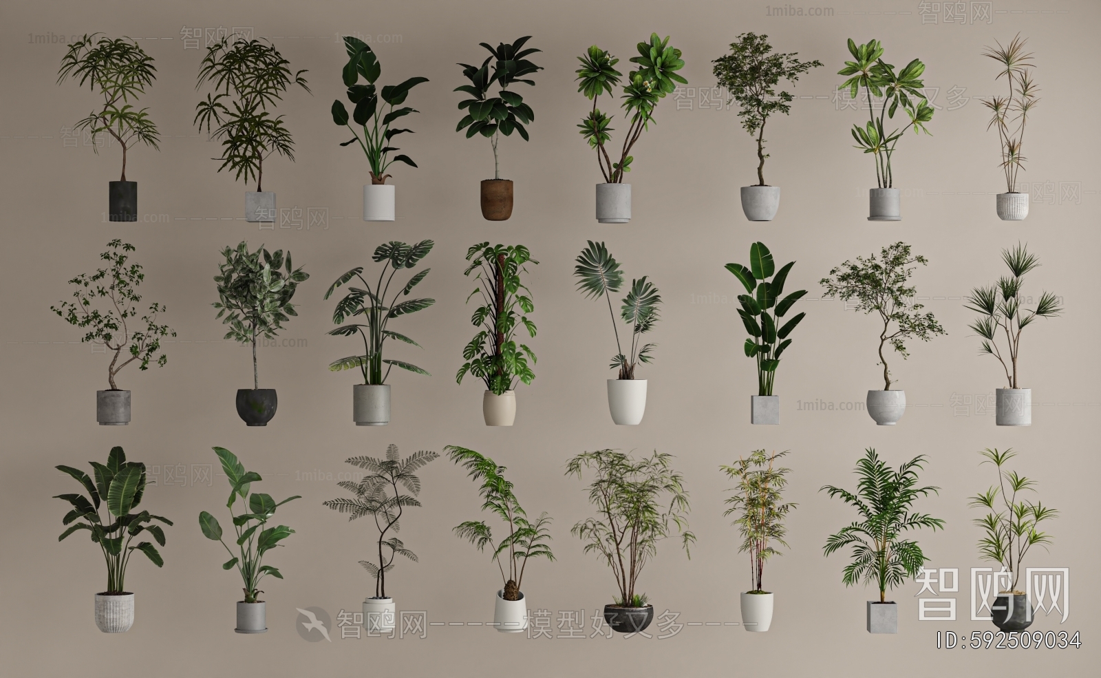 Modern Ground Green Plant Potted Plants