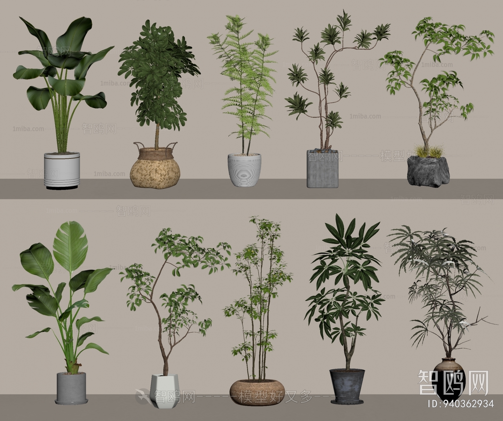 Modern Ground Green Plant Potted Plants