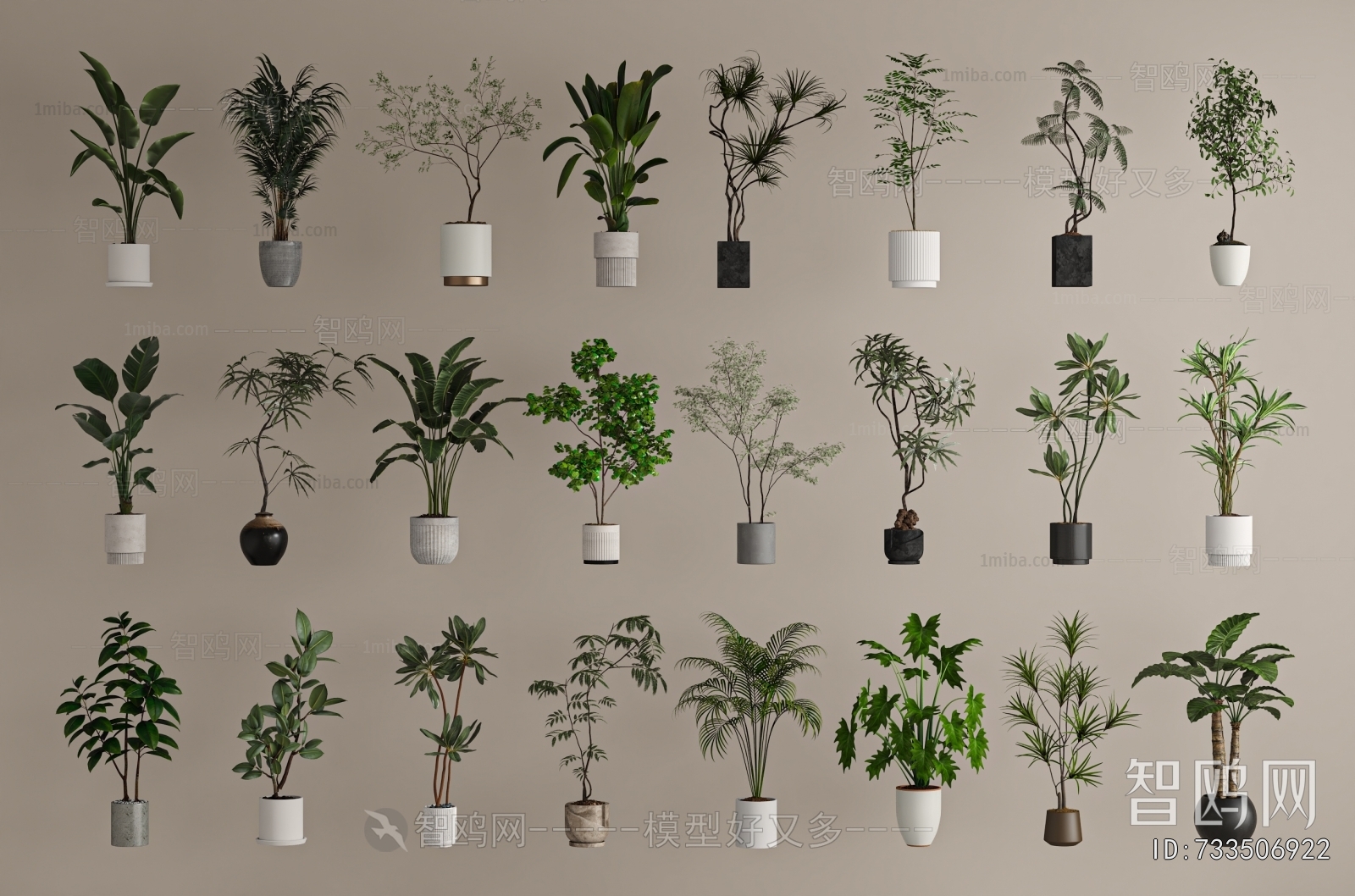 Modern Ground Green Plant Potted Plants