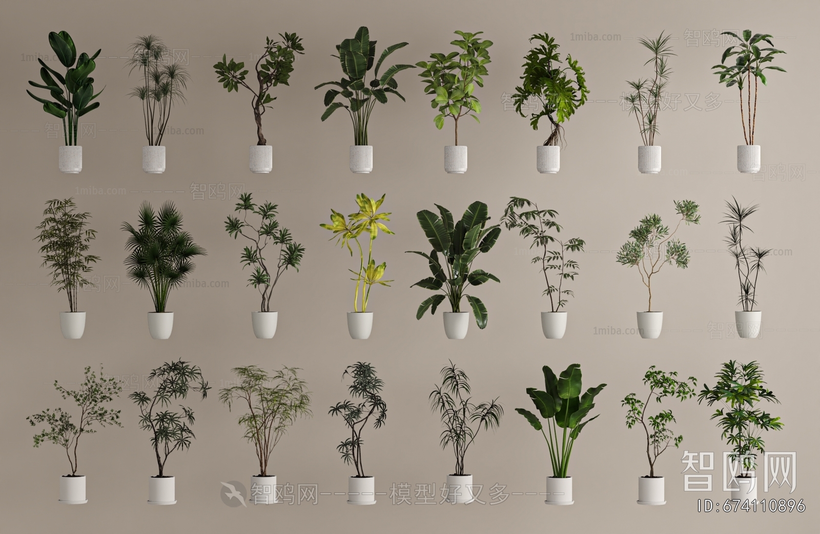 Modern Ground Green Plant Potted Plants