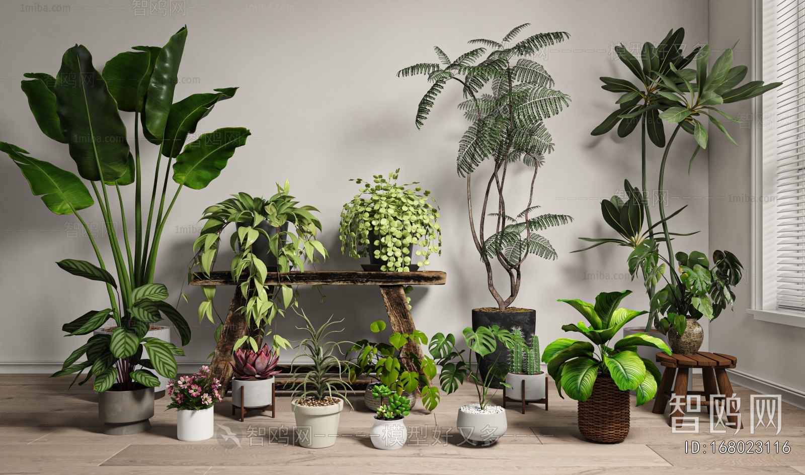 Modern Ground Green Plant Potted Plants