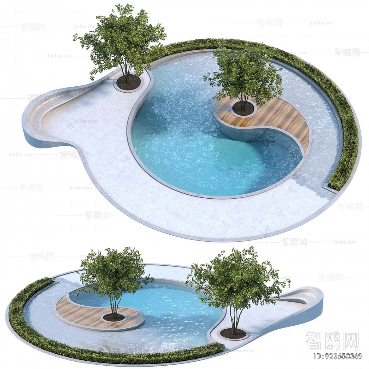 Modern Swimming Pool