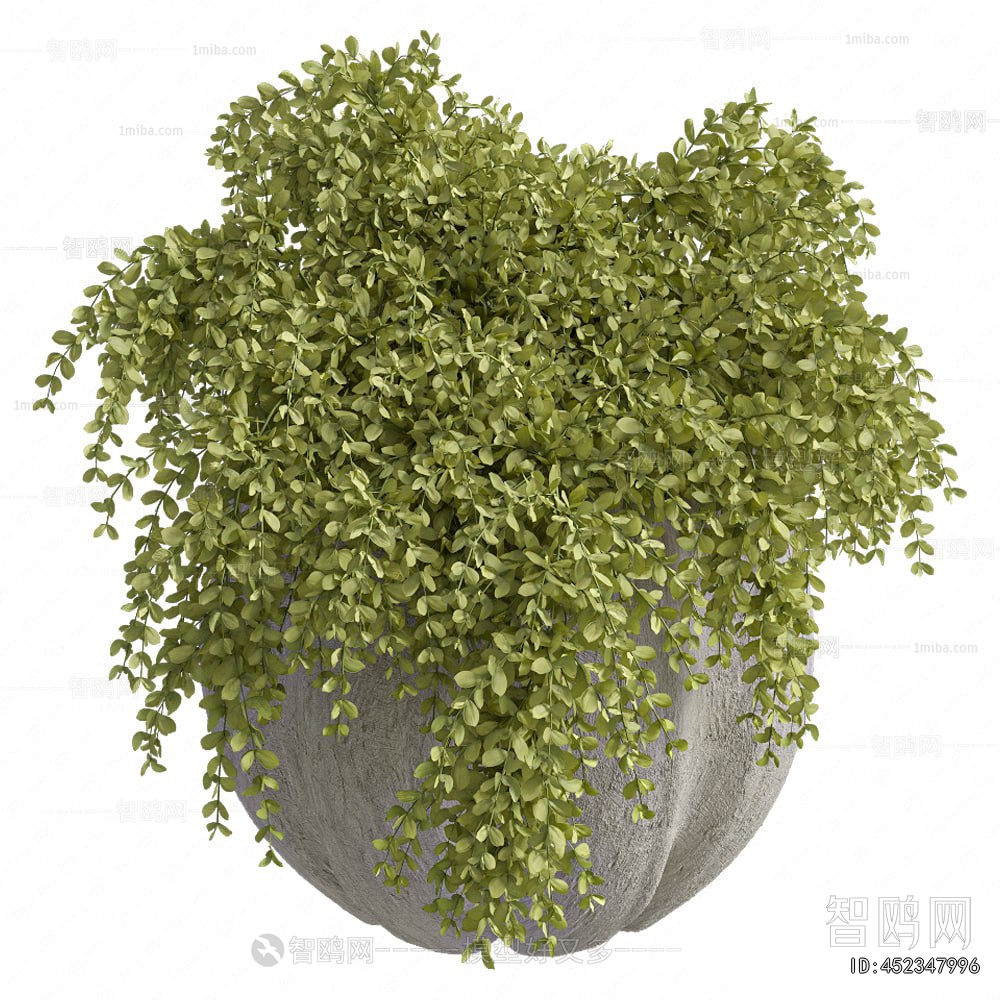 Modern Potted Green Plant