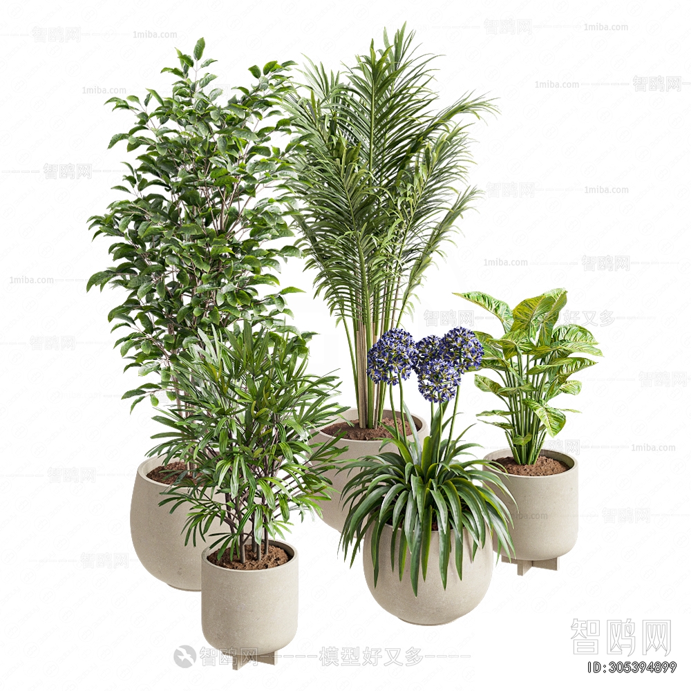 Modern Ground Green Plant Potted Plants