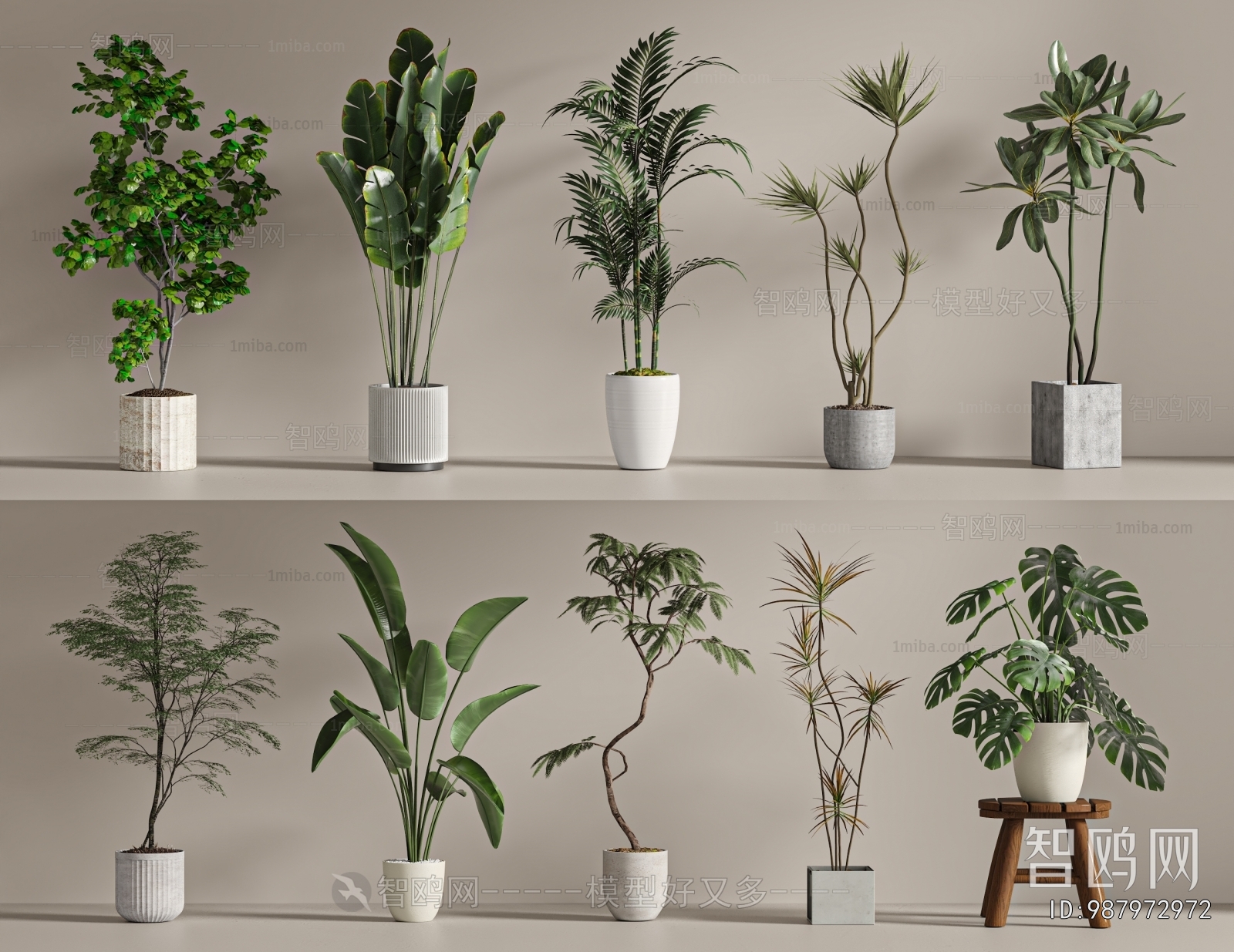 Modern Ground Green Plant Potted Plants