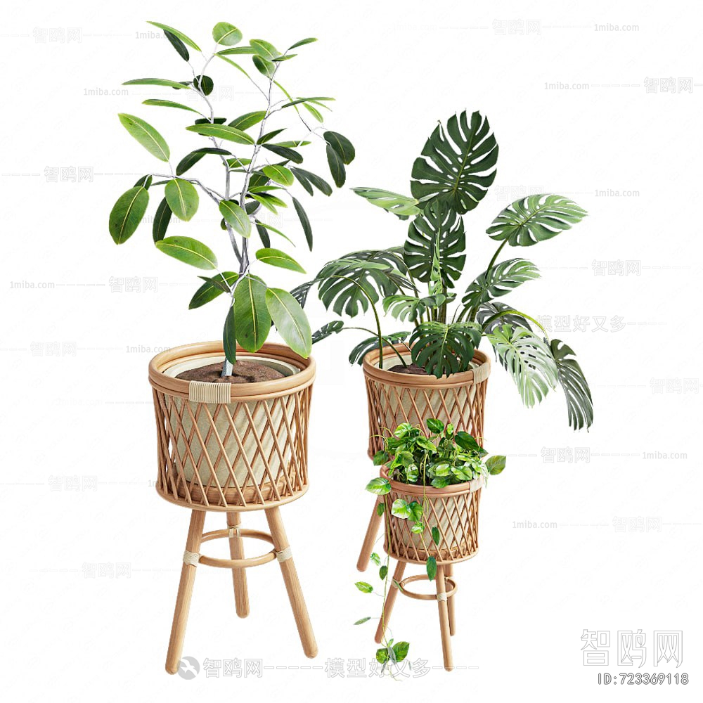 Modern Potted Green Plant