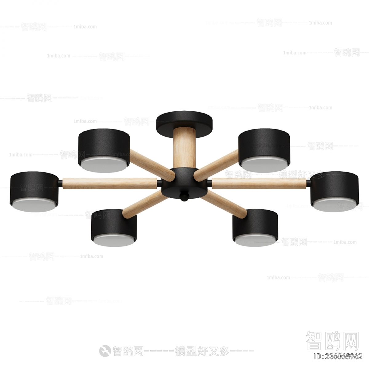 Modern Ceiling Ceiling Lamp