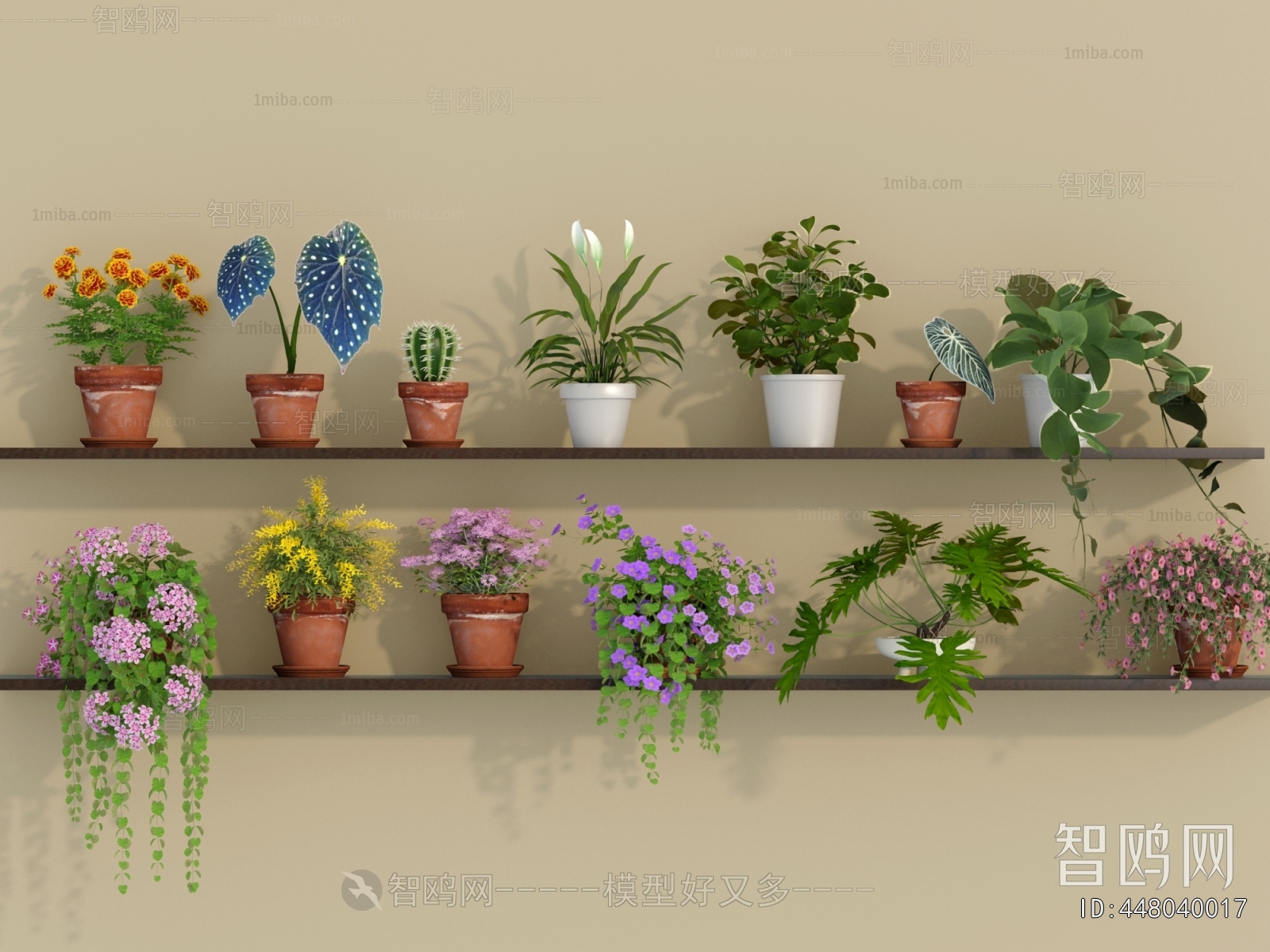 Modern Desktop Plant