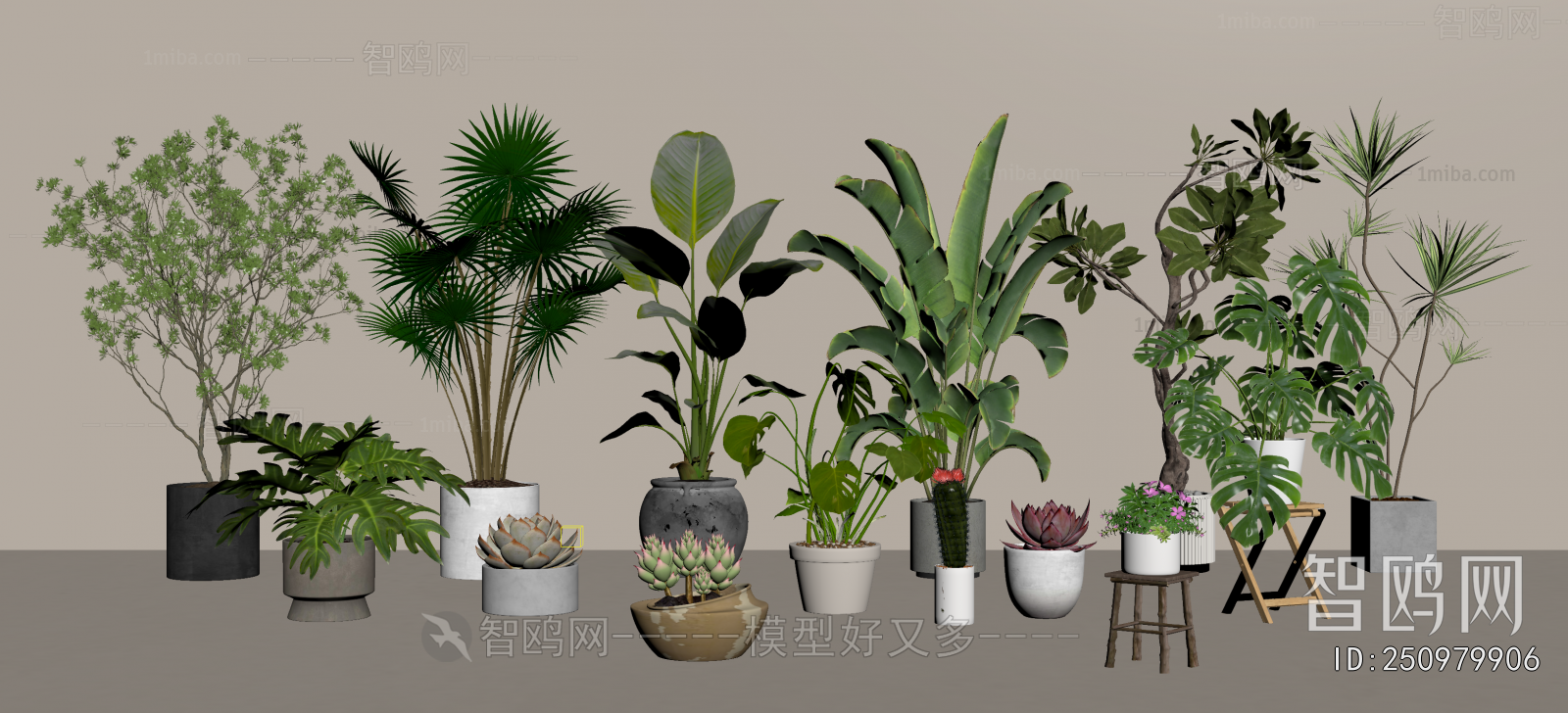 Modern Ground Green Plant Potted Plants