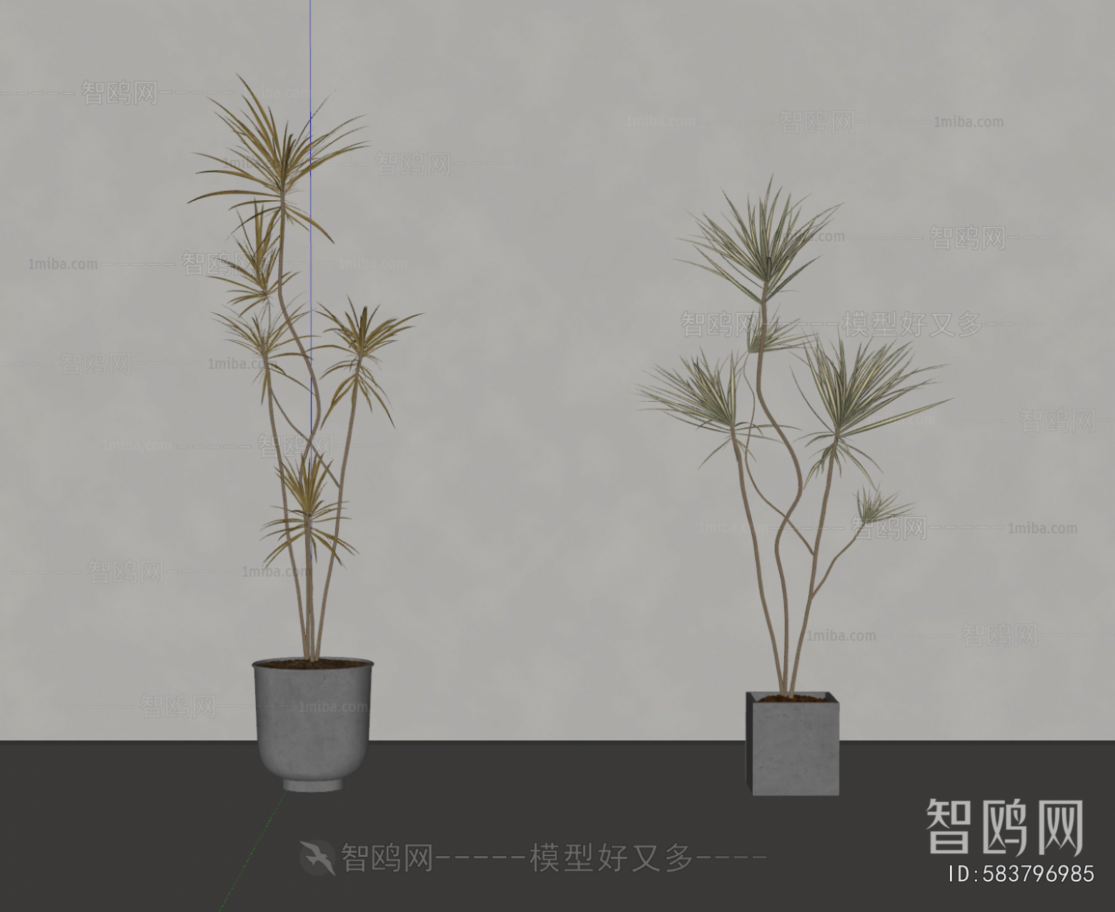 Modern Ground Green Plant Potted Plants