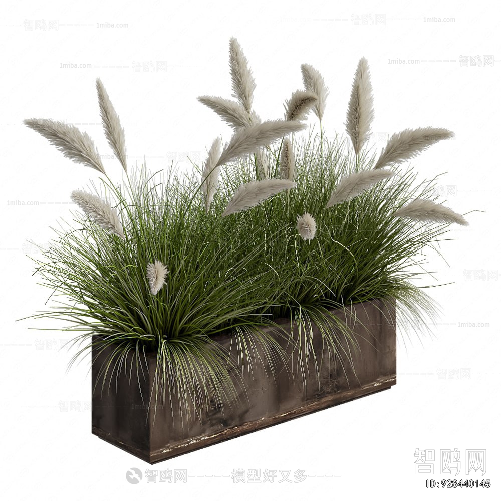 Modern Flower Bed, Flower Bowl, Flower Box