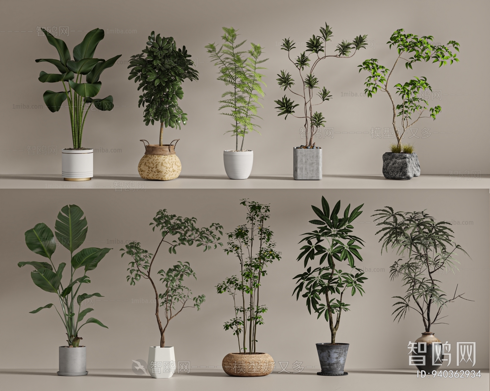 Modern Ground Green Plant Potted Plants