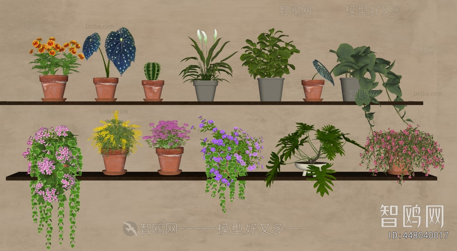 Modern Desktop Plant